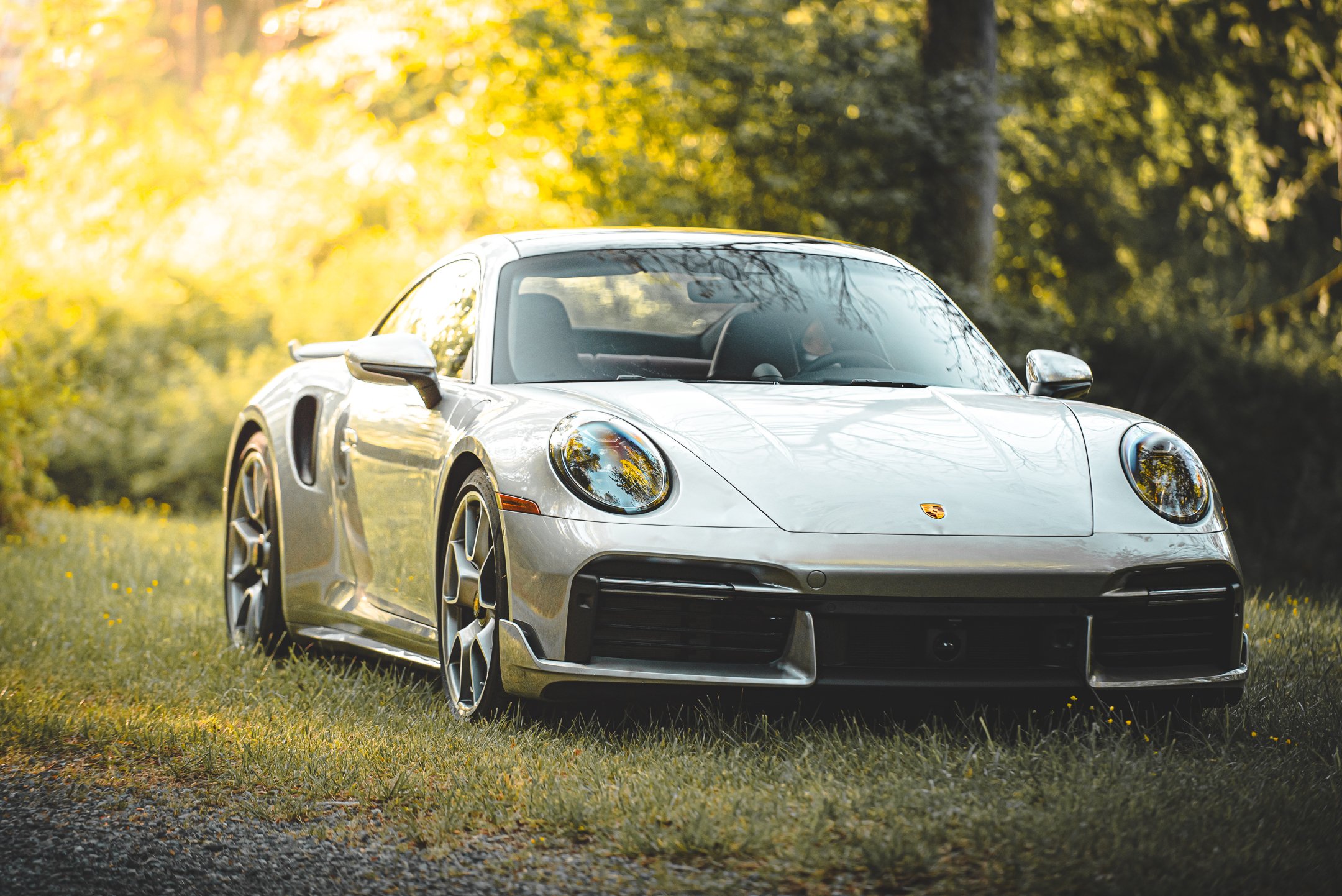 Beauty-7.jpg