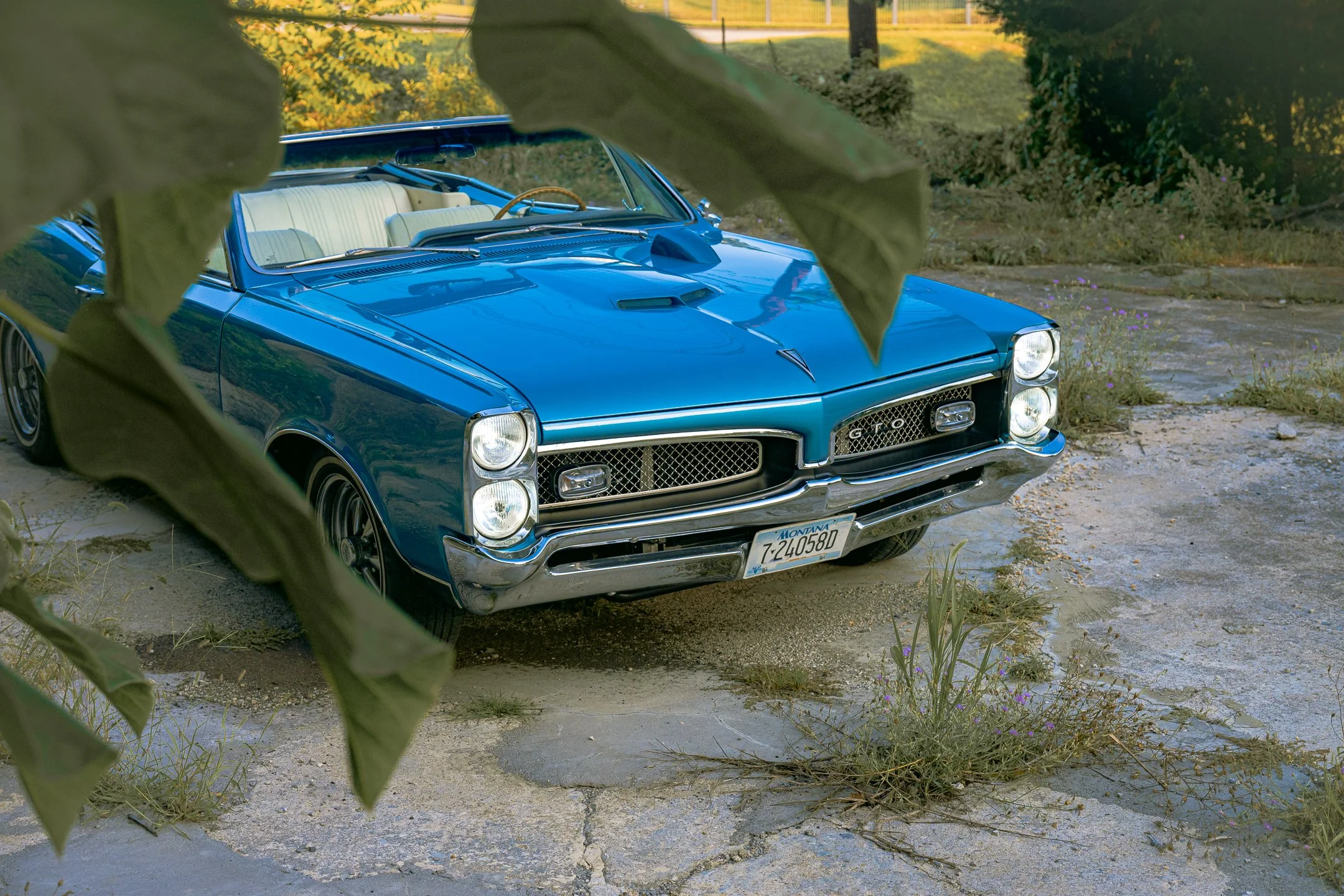 GTO-31.jpg