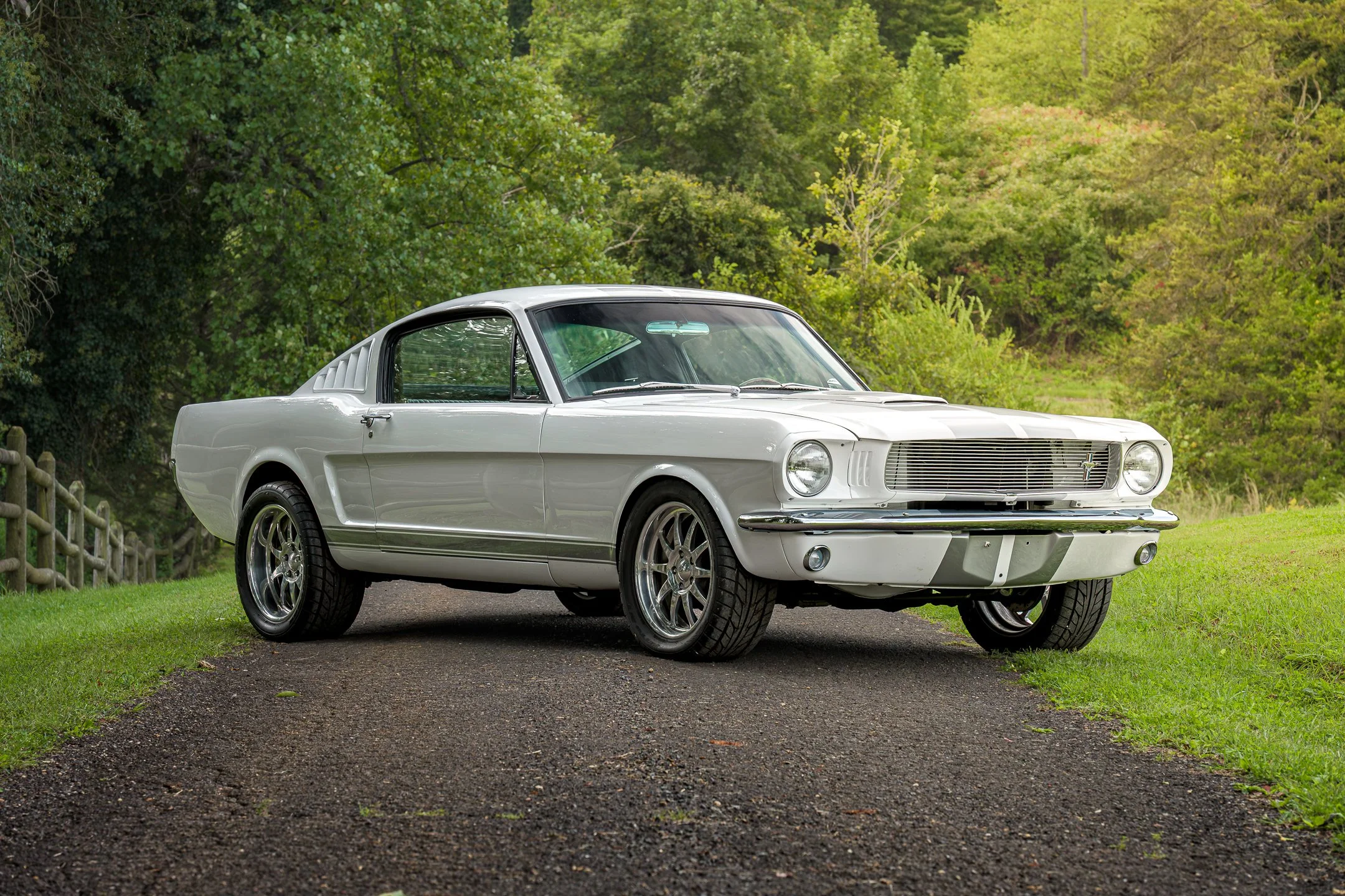 Mustang-1.jpg