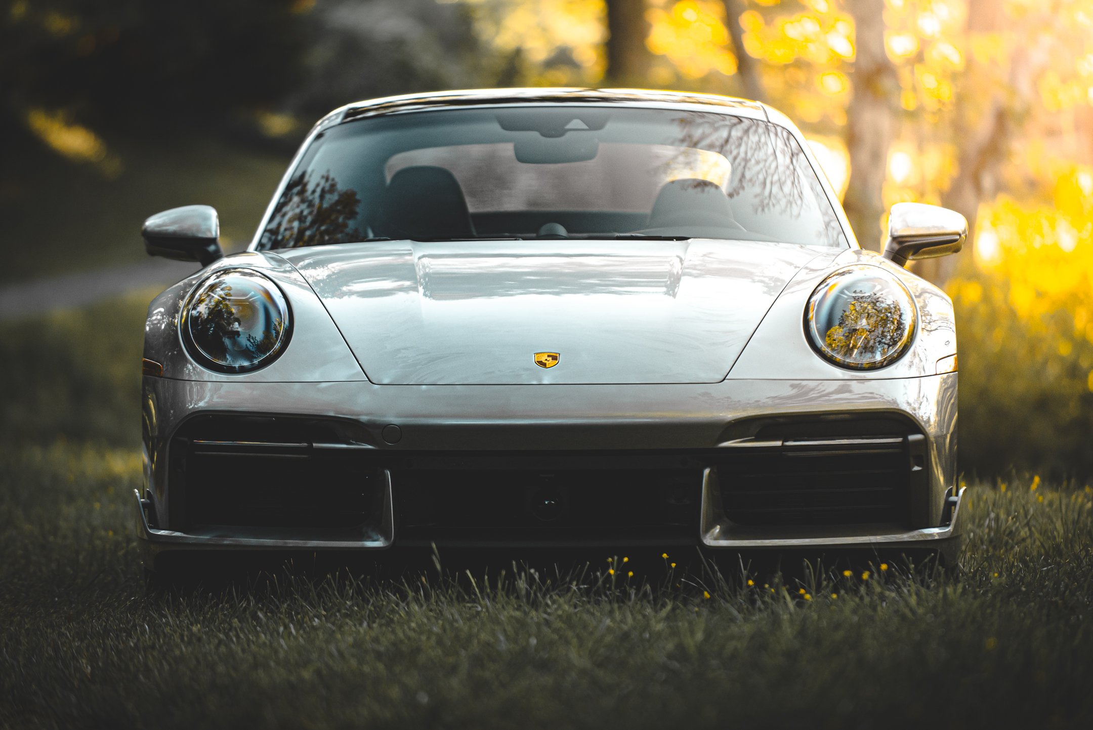 Beauty-5.jpg