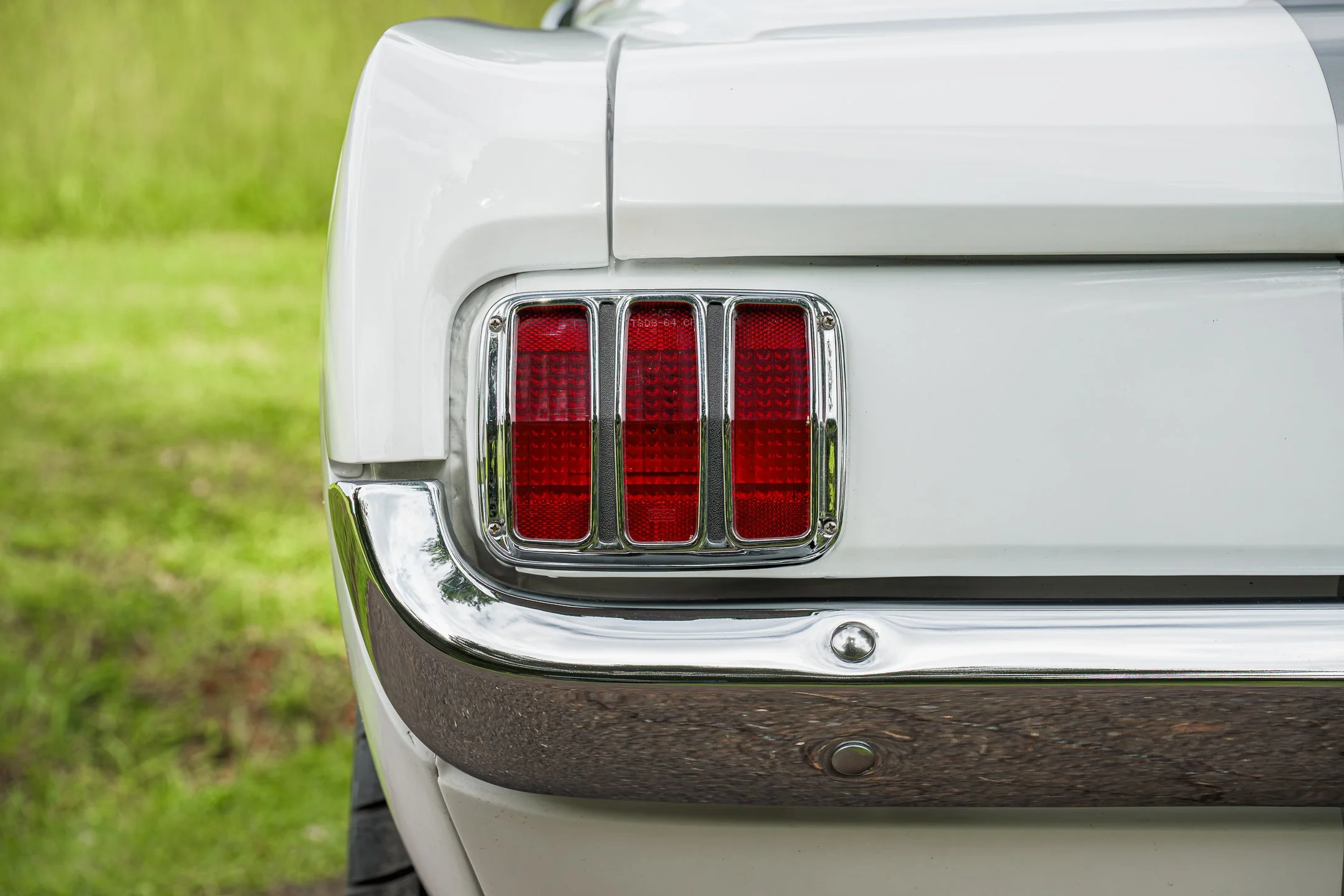 Mustang-43.jpg