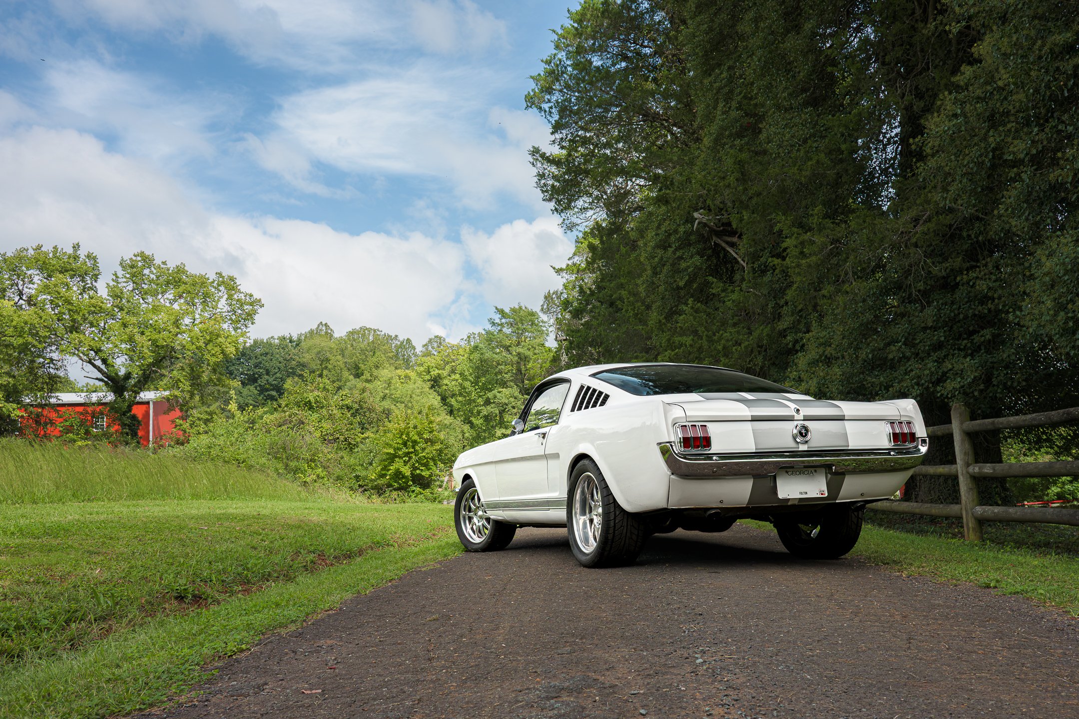 Mustang-2.jpg