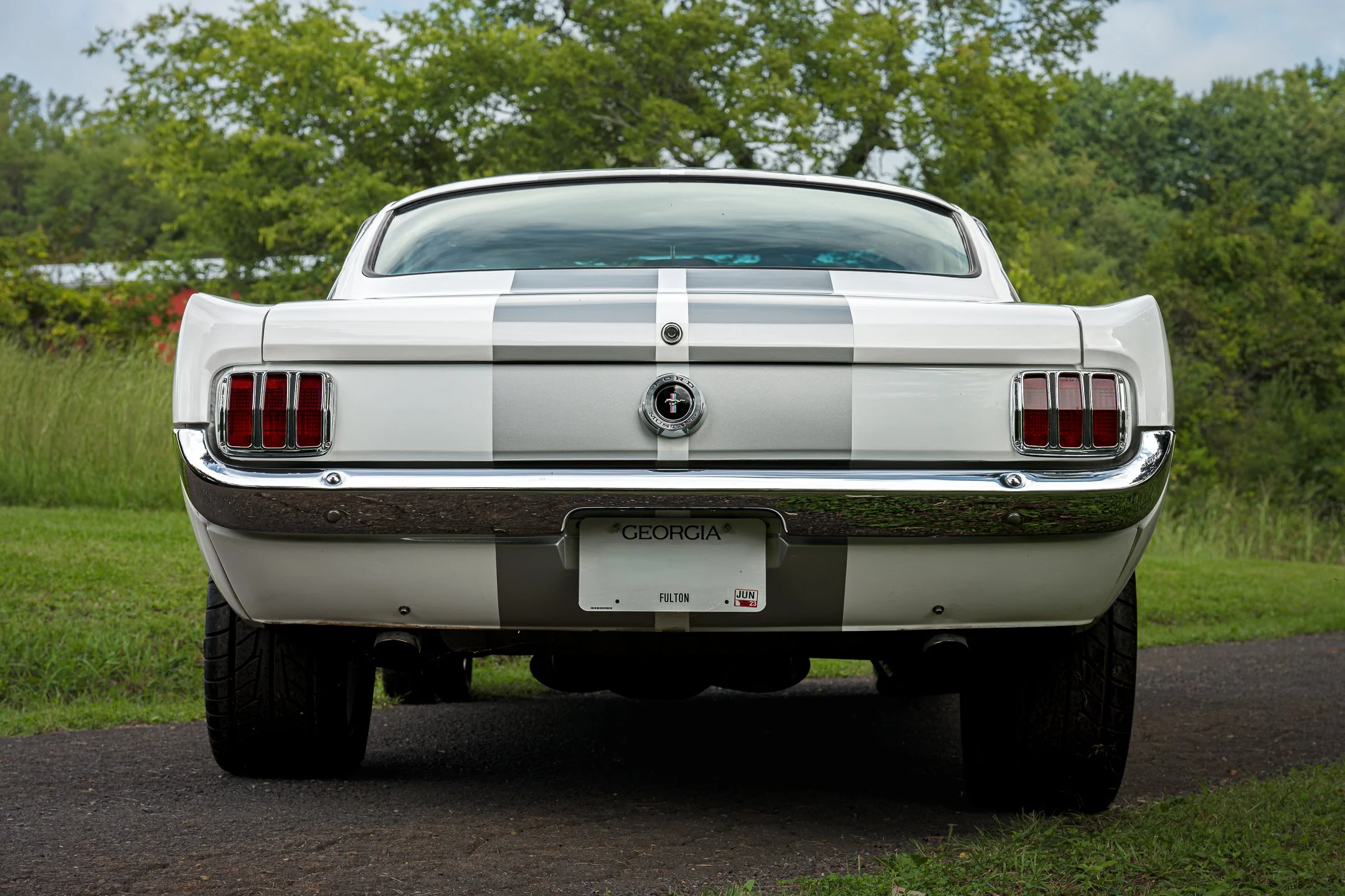 Mustang-17.jpg