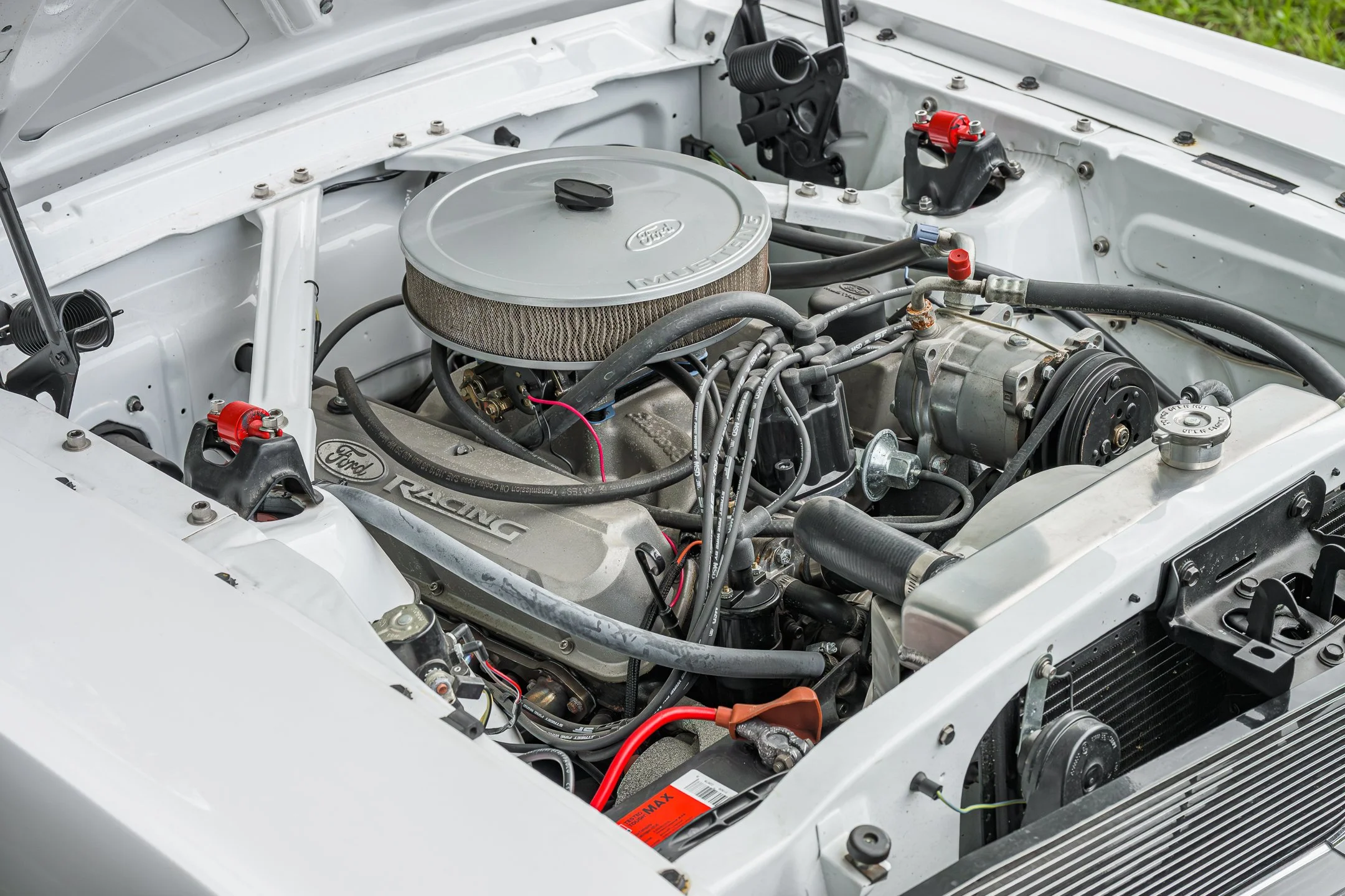 Mustang-55.jpg