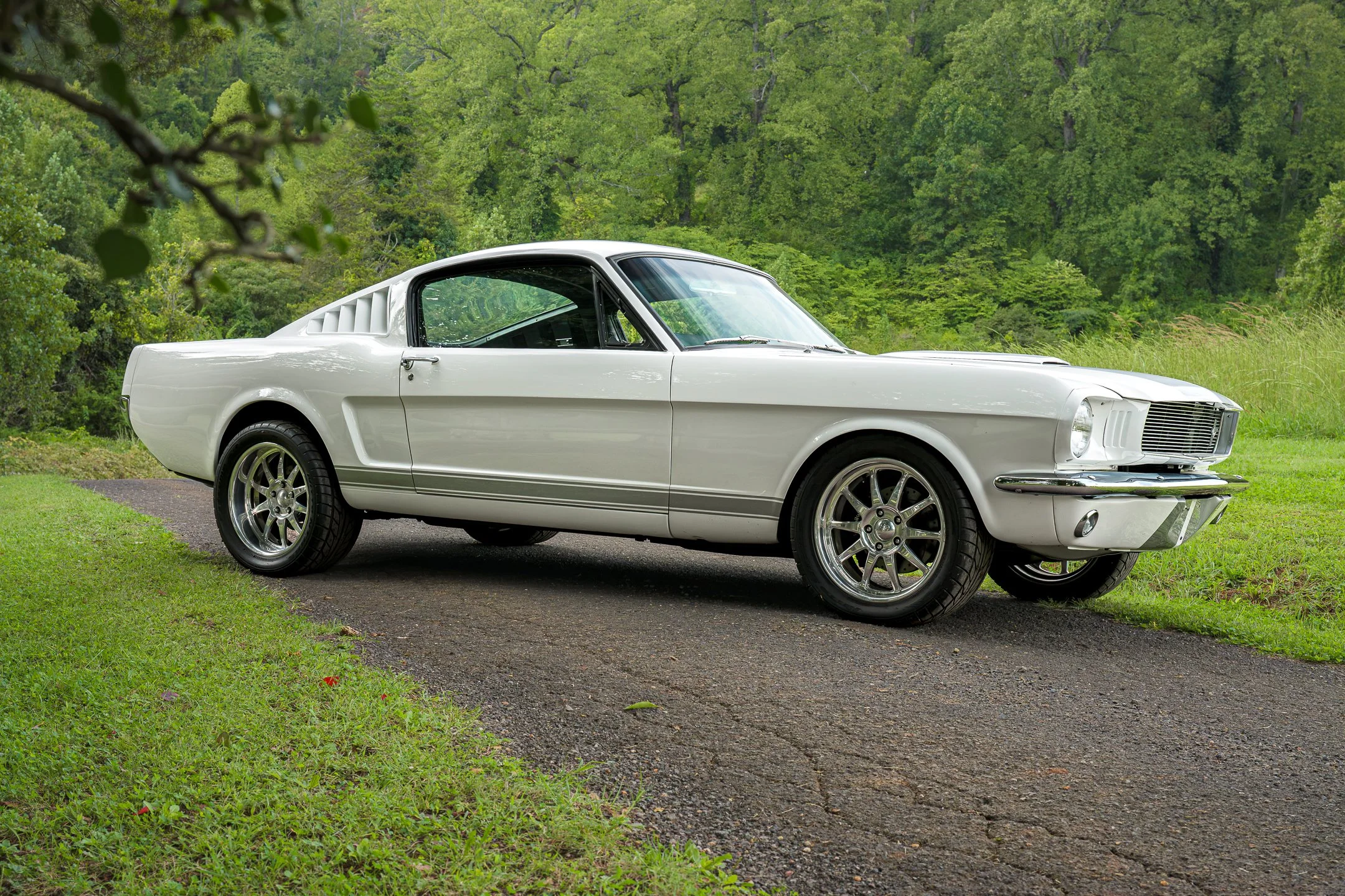 Mustang-15.jpg
