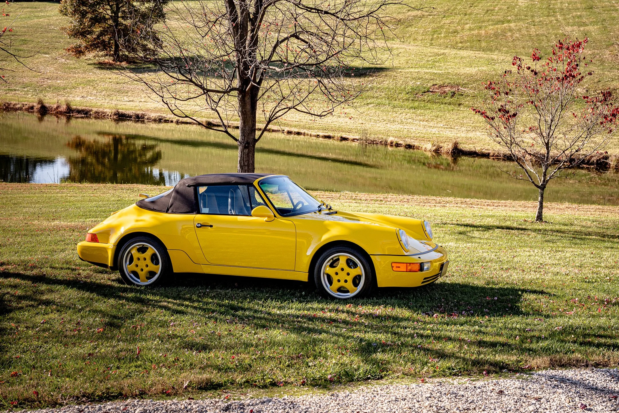 Roadster-8.jpg