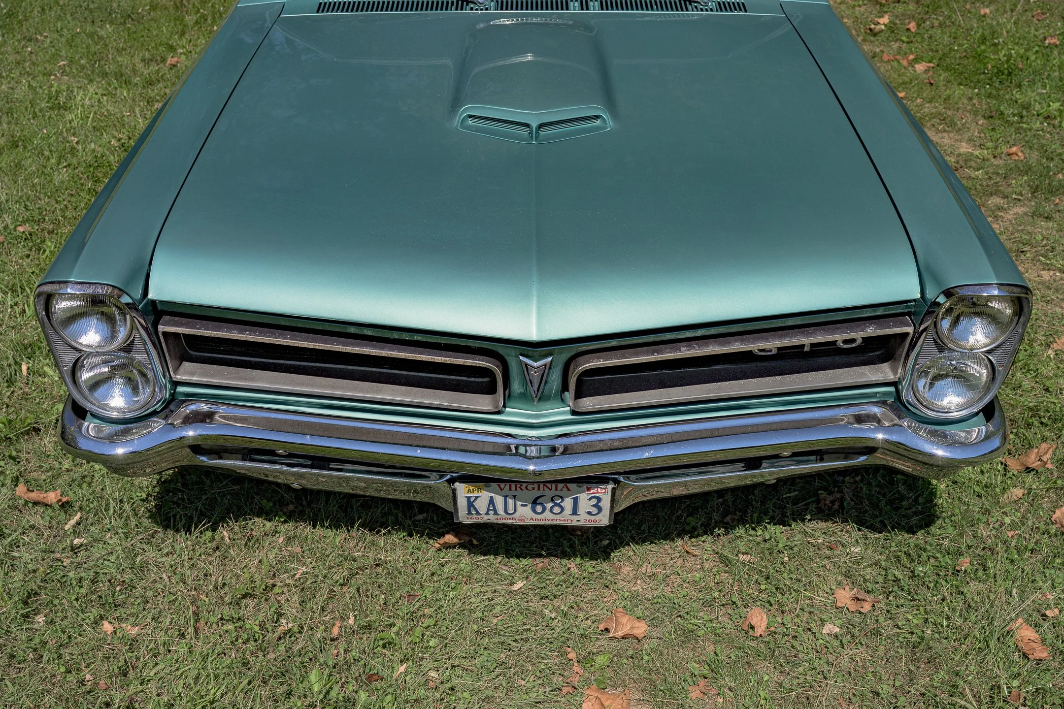 GTO-19.jpg