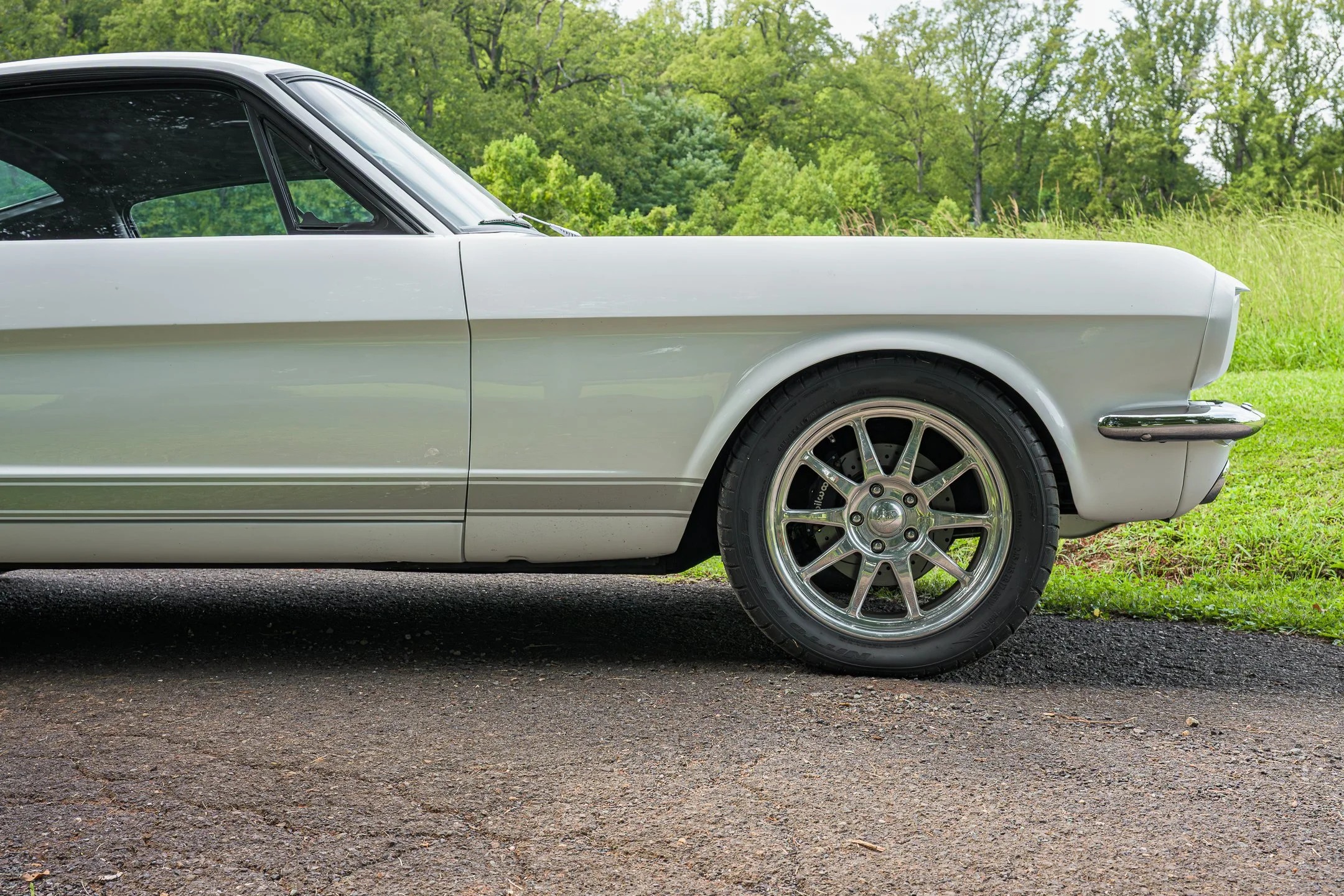 Mustang-35.jpg