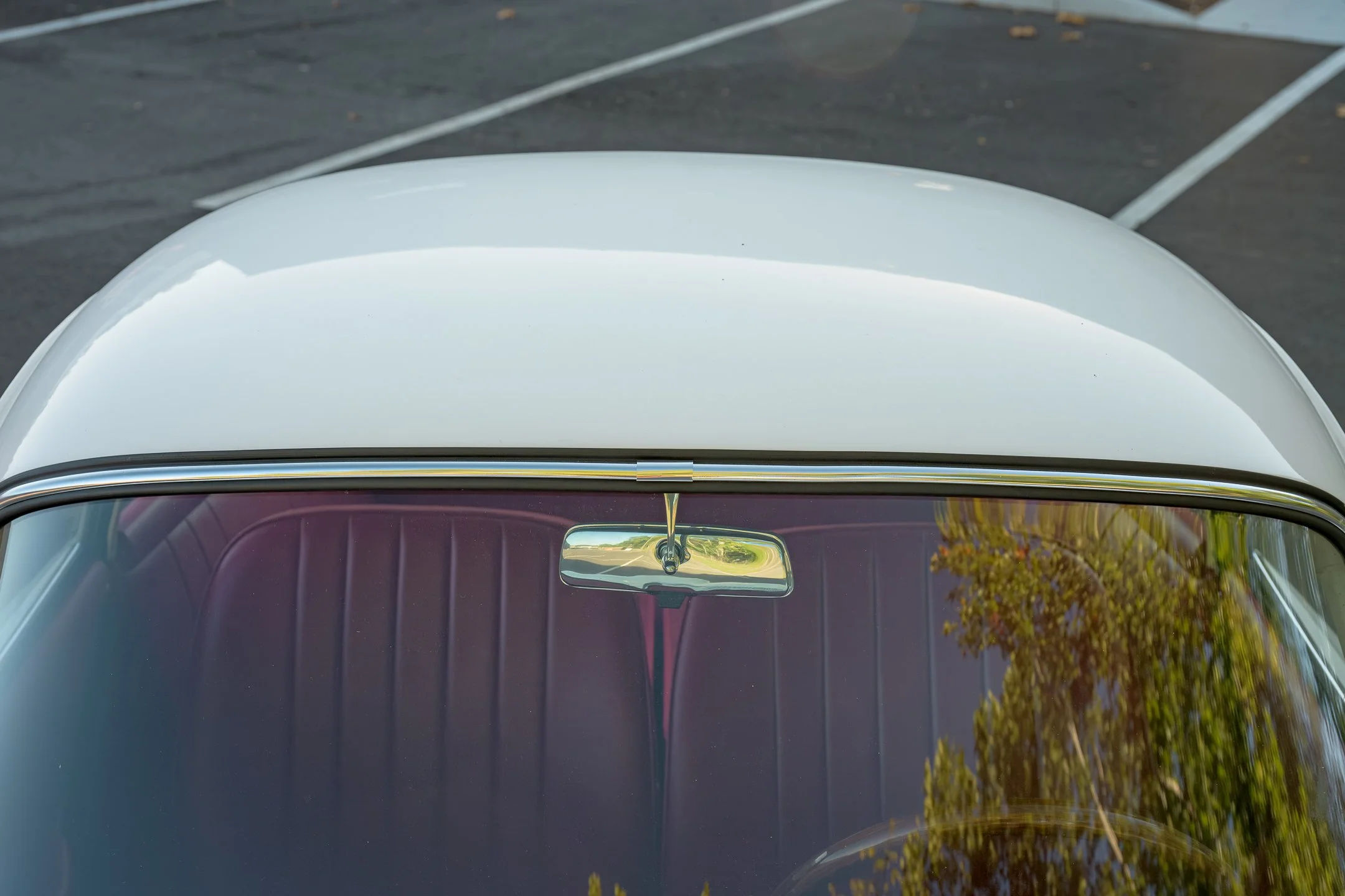 356-11.jpg
