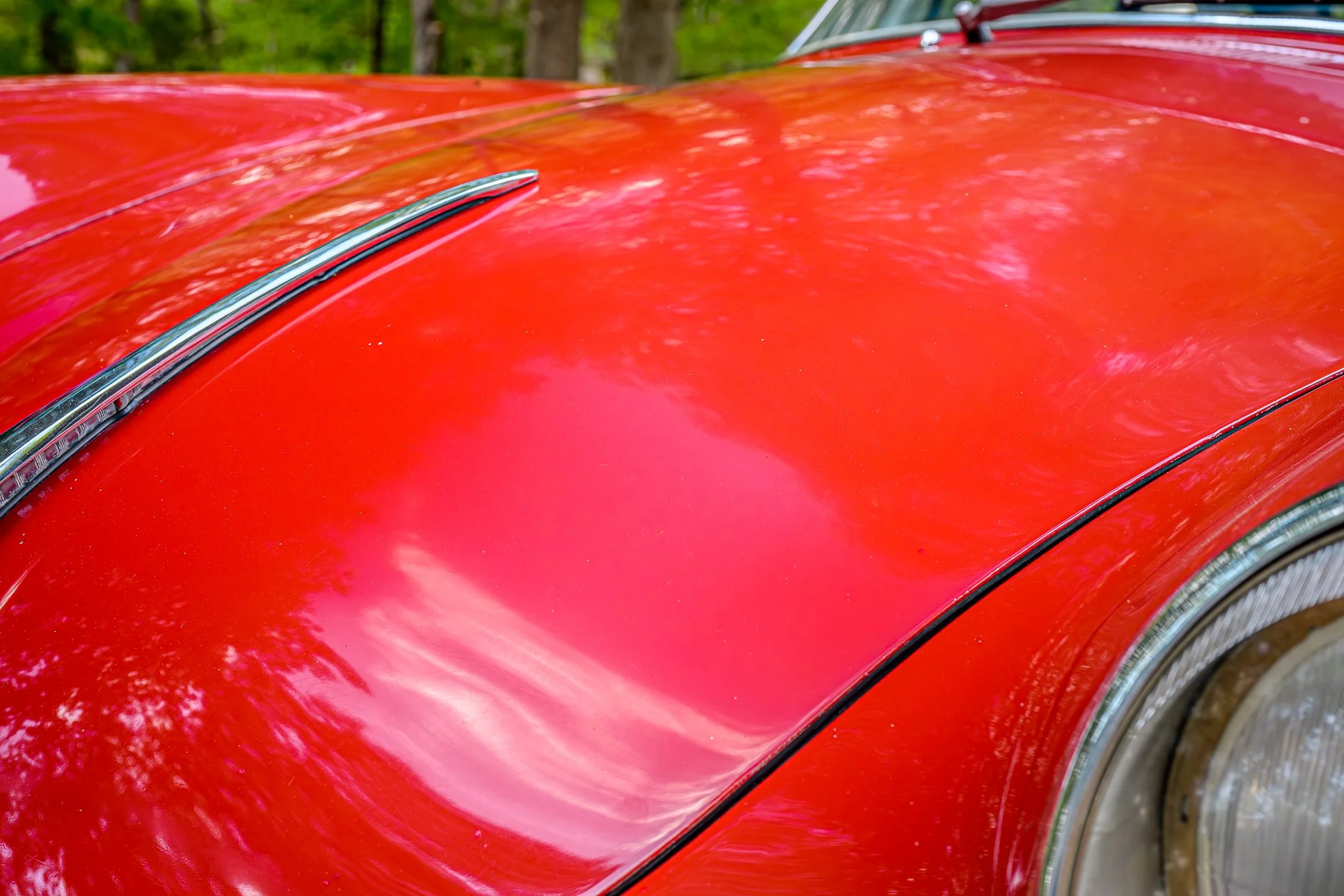 356-38.jpg