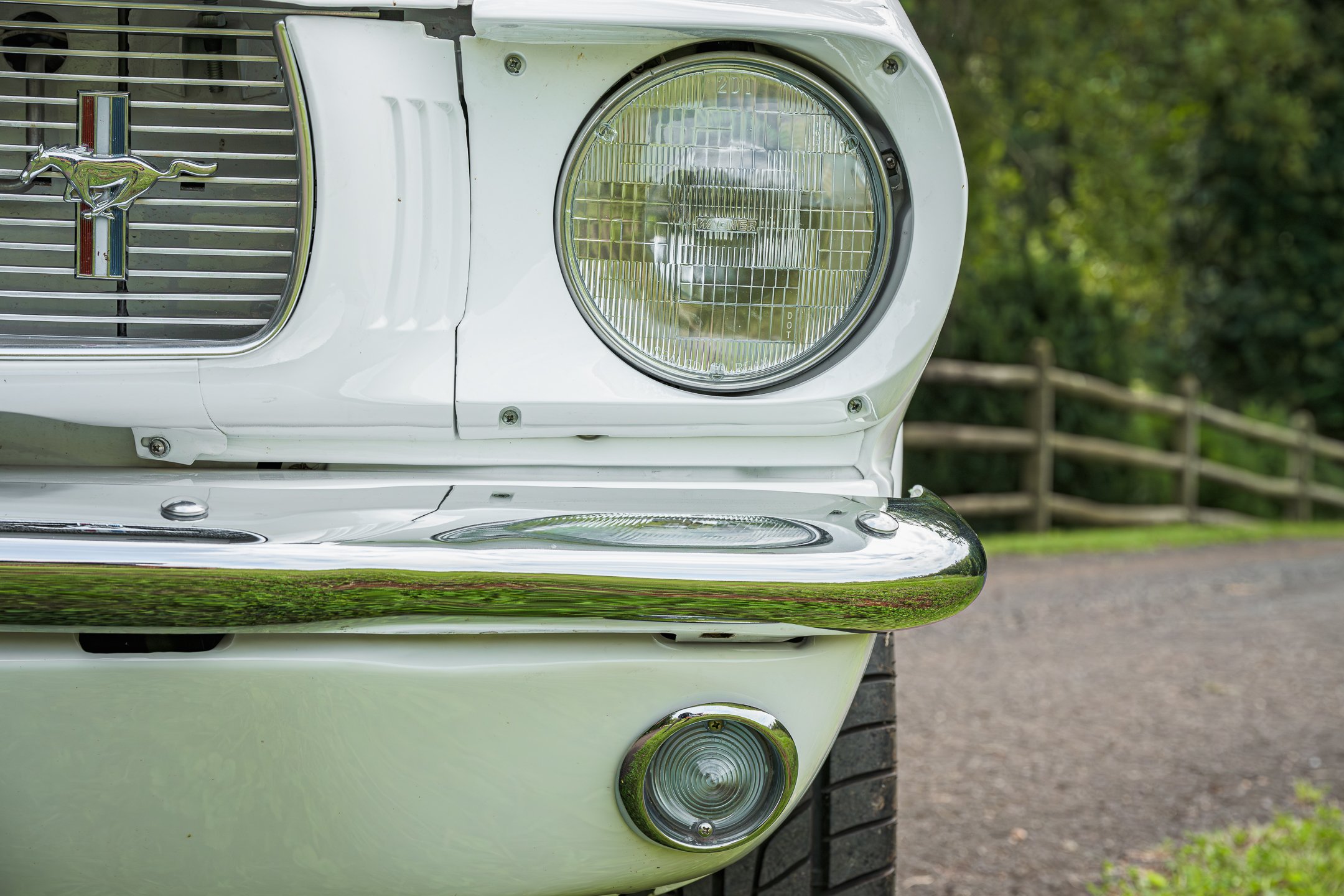 Mustang-39.jpg