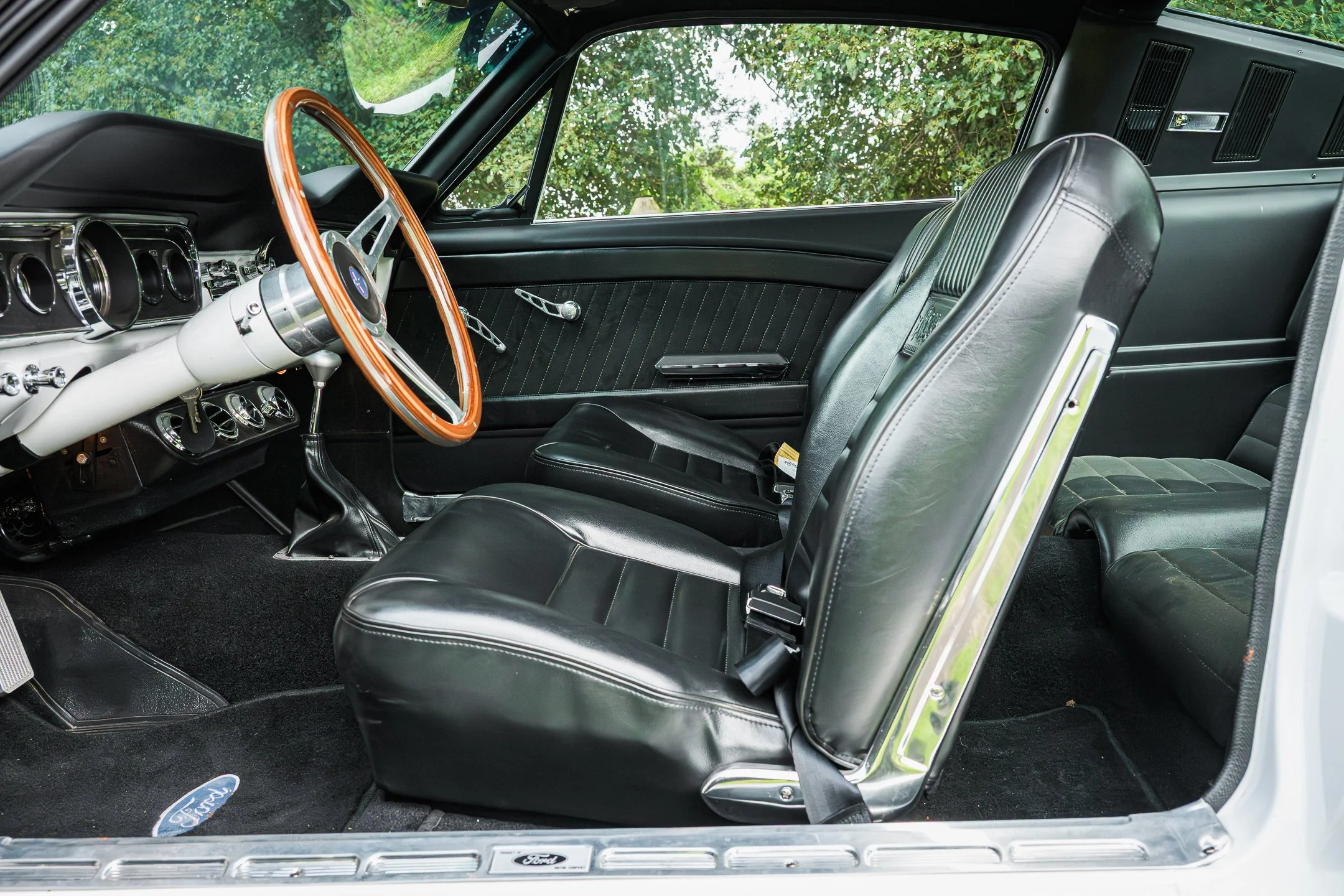 Mustang-64.jpg
