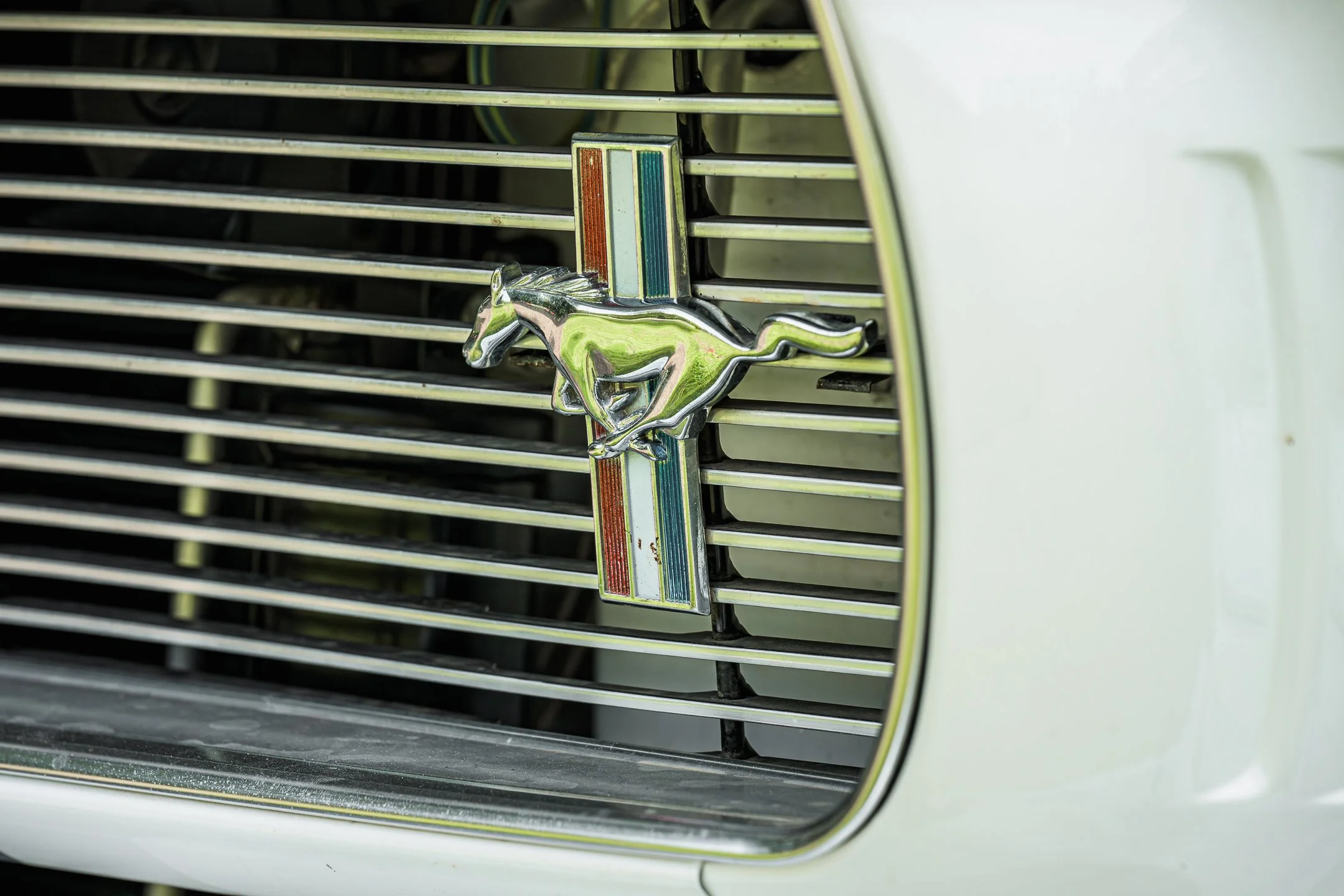 Mustang-38.jpg