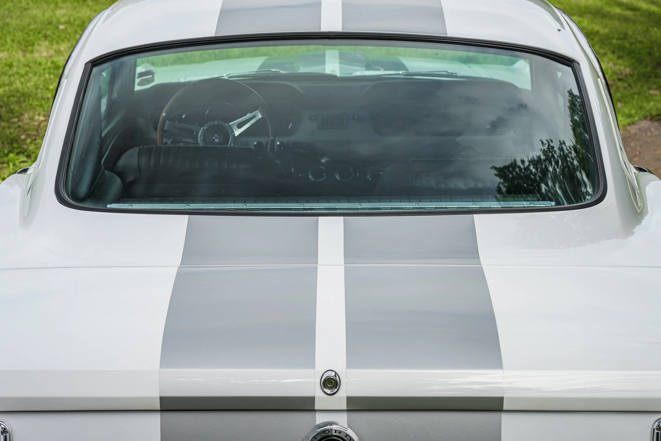 Mustang-24.jpg