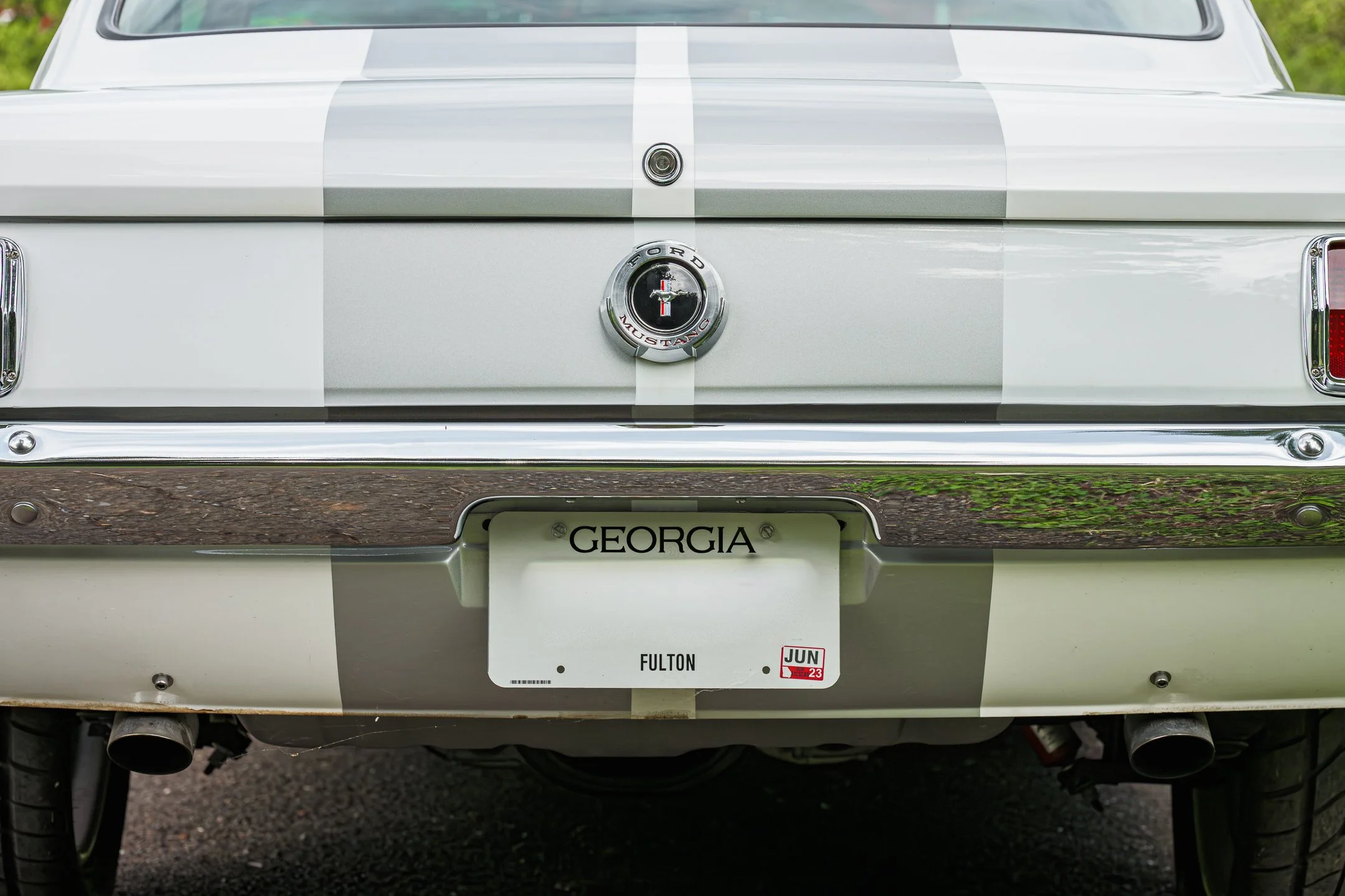 Mustang-30.jpg