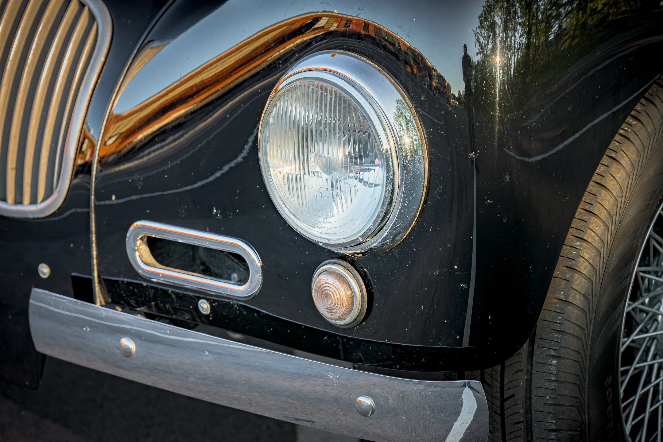 Allard2-38.jpg