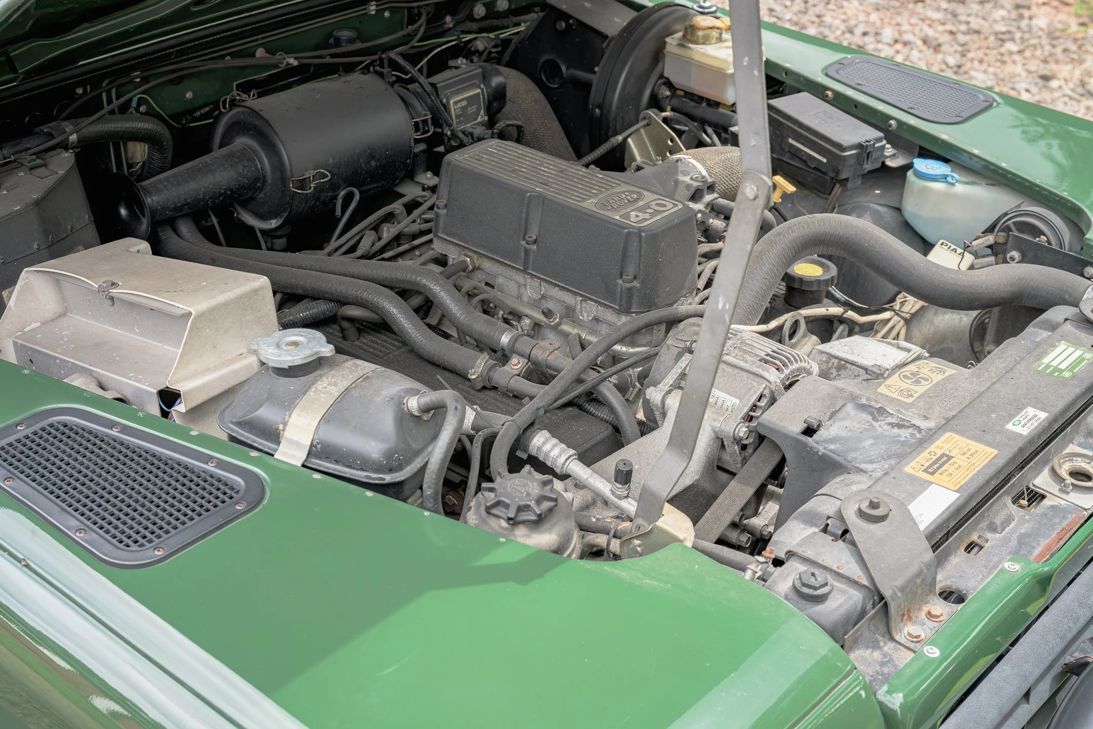 LR-101.jpg