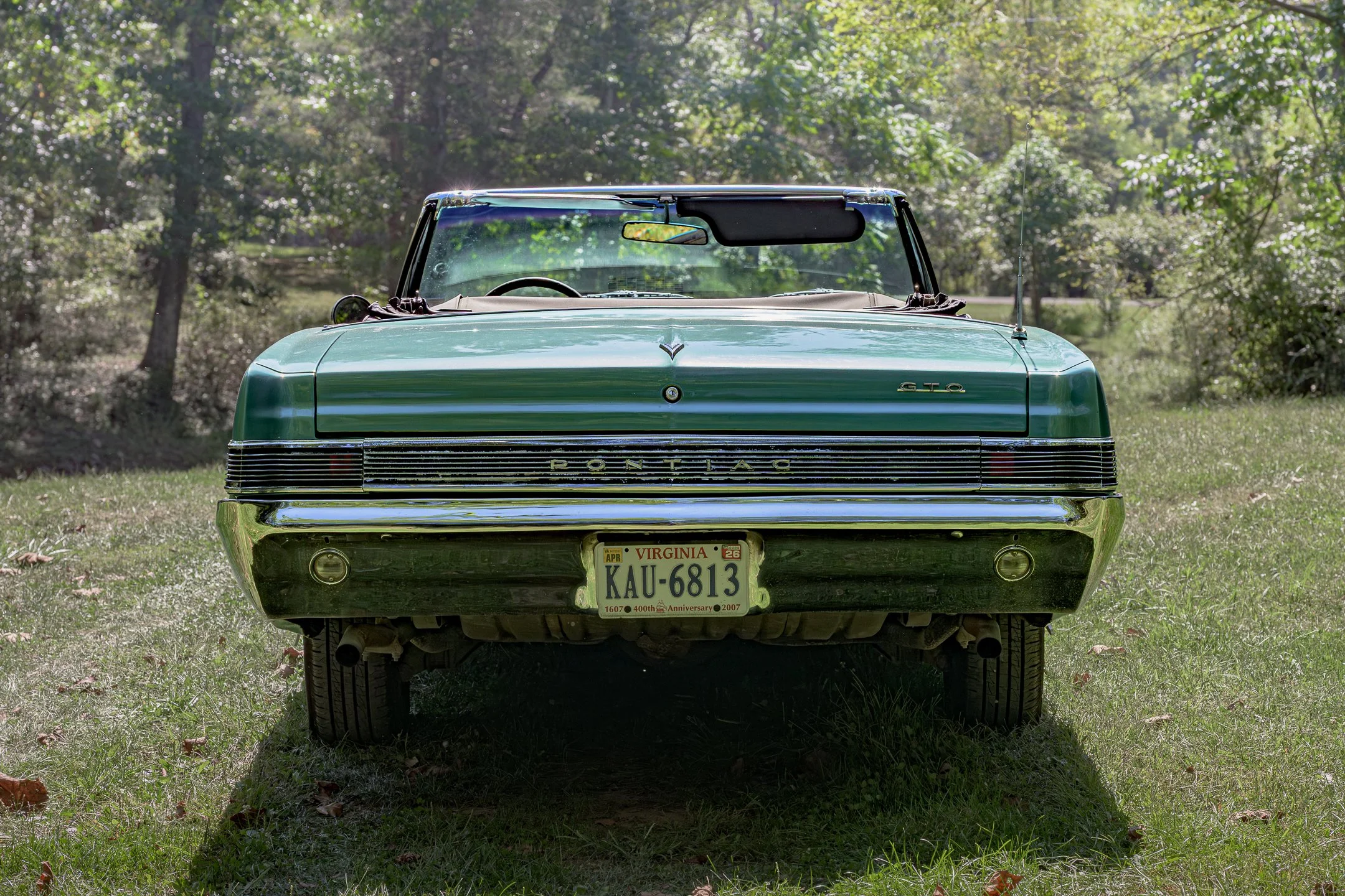 GTO-6.jpg