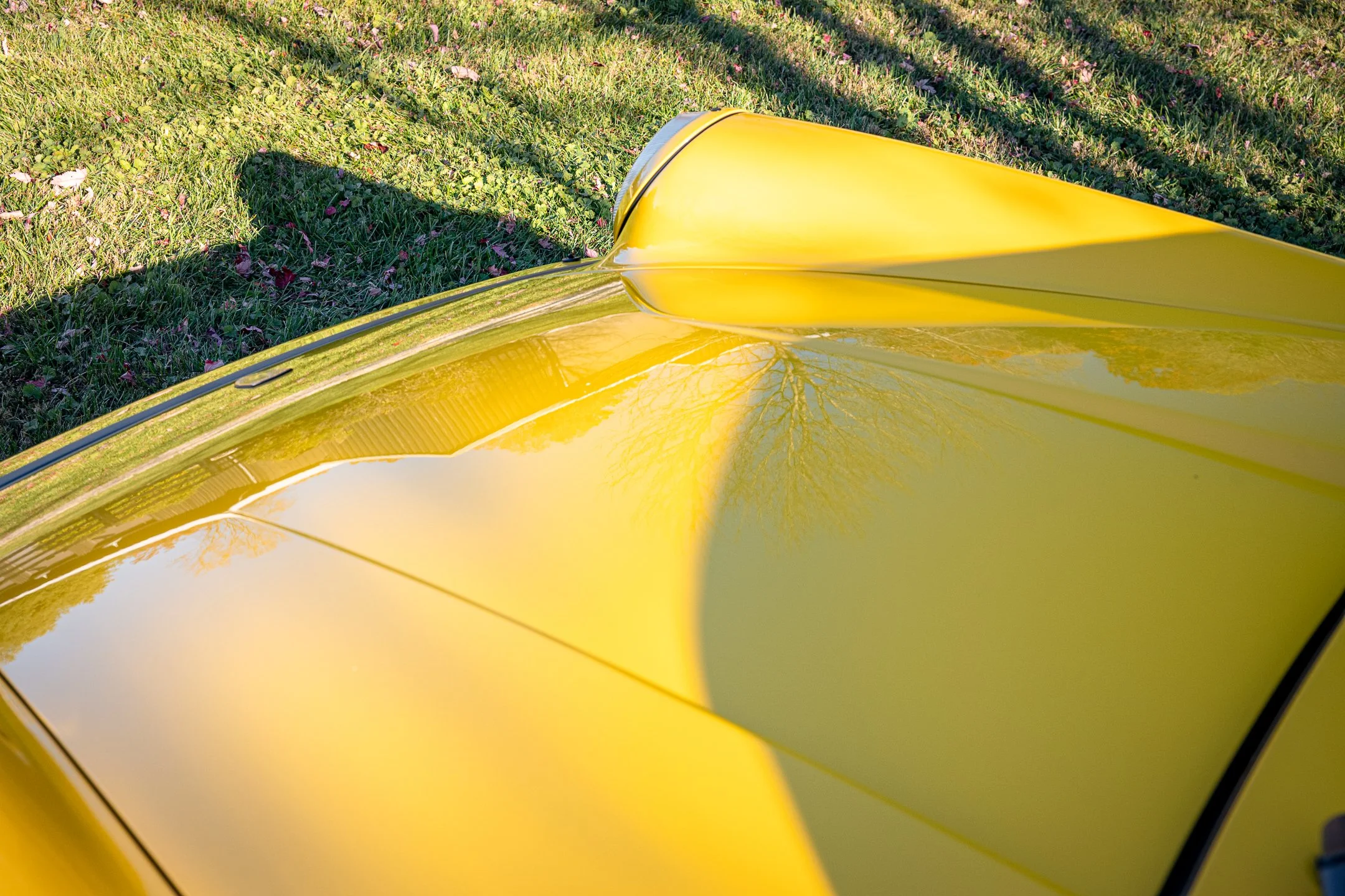 Roadster-94.jpg