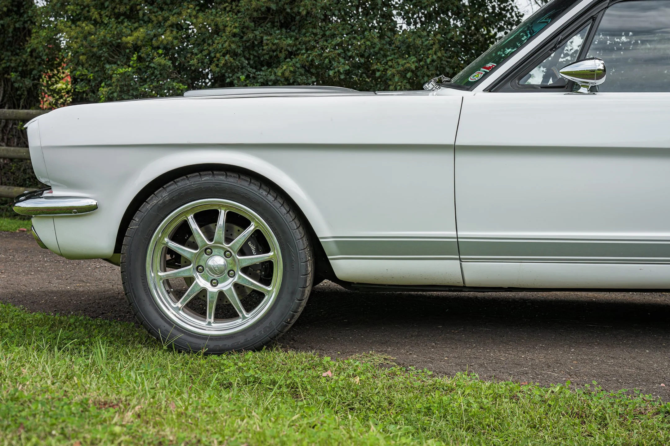 Mustang-32.jpg