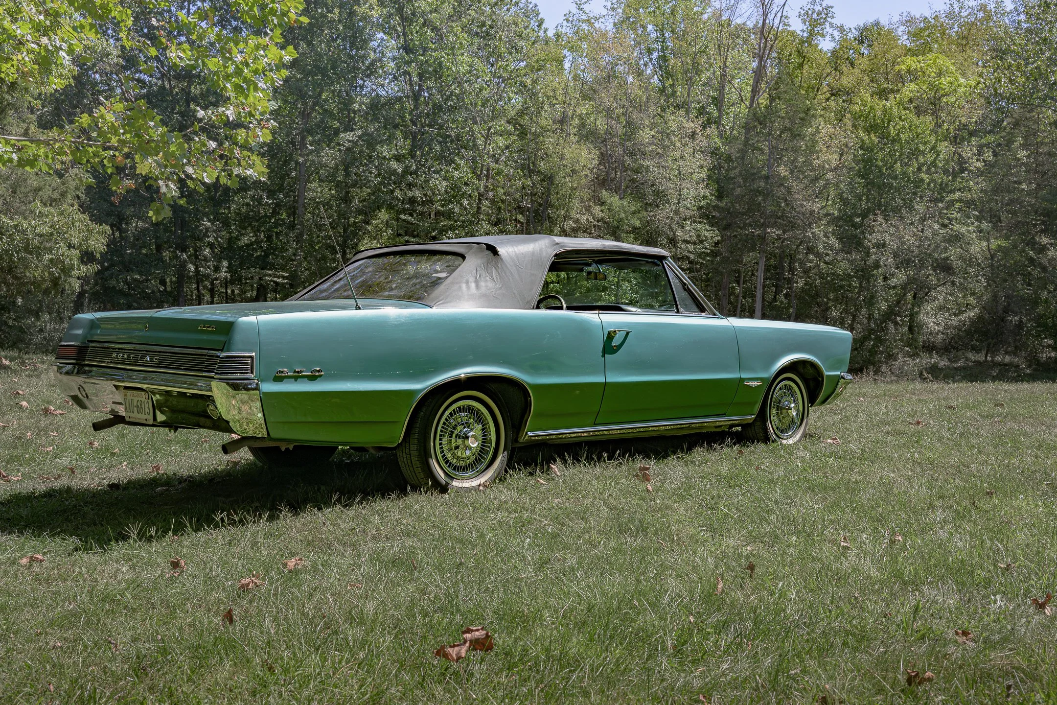 GTO-11.jpg