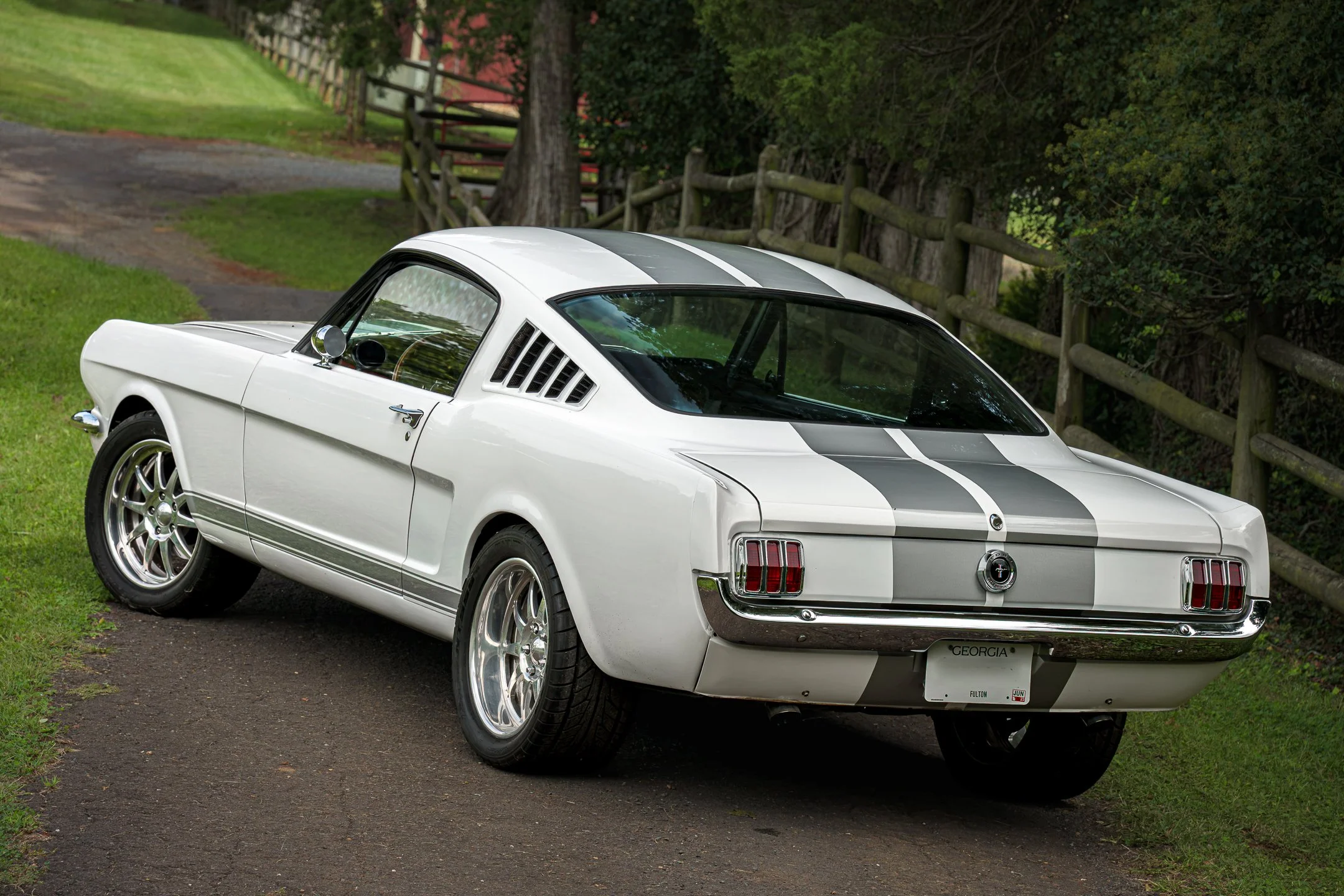 Mustang-11.jpg