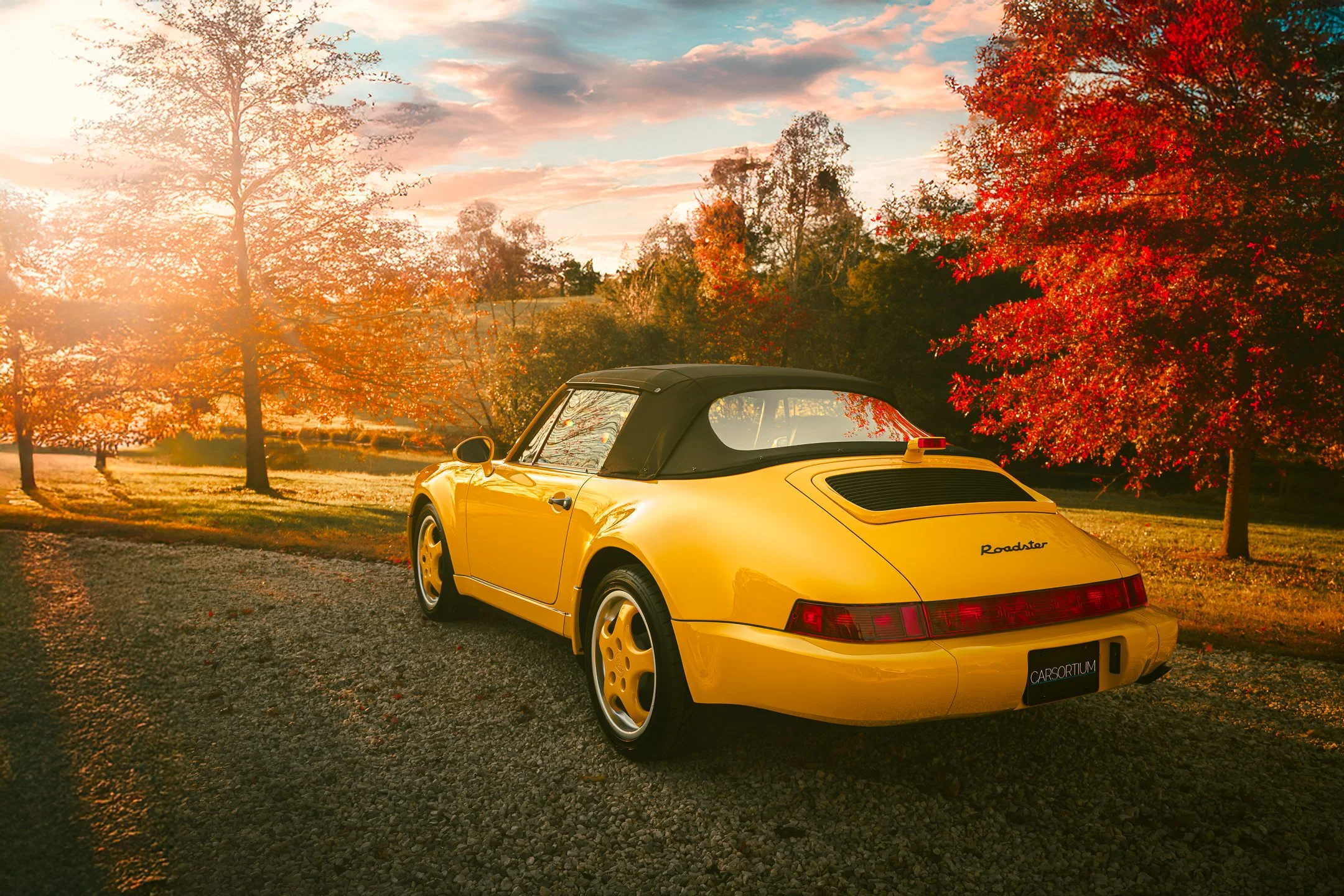 Roadster-1.jpg