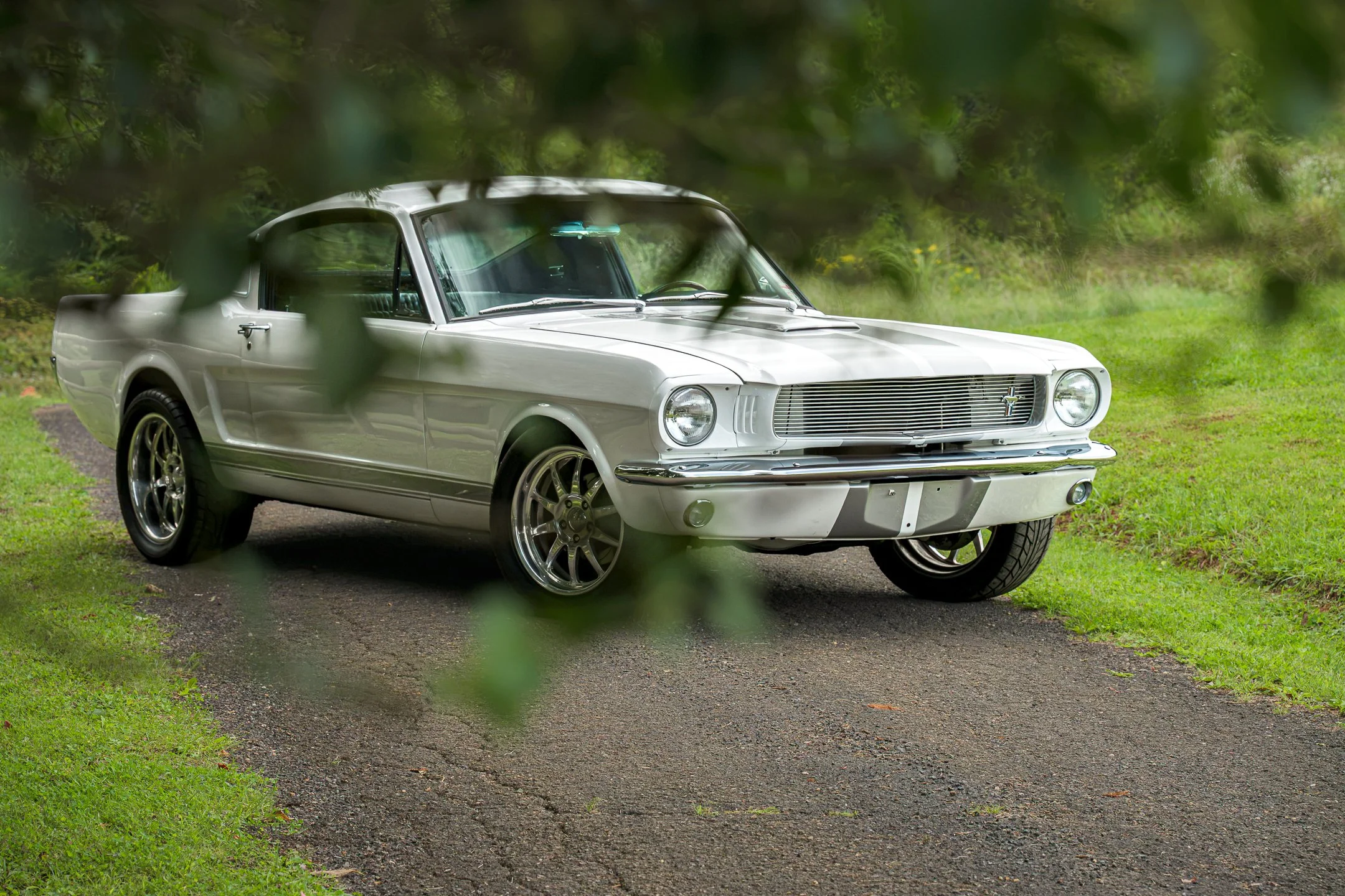 Mustang-9.jpg