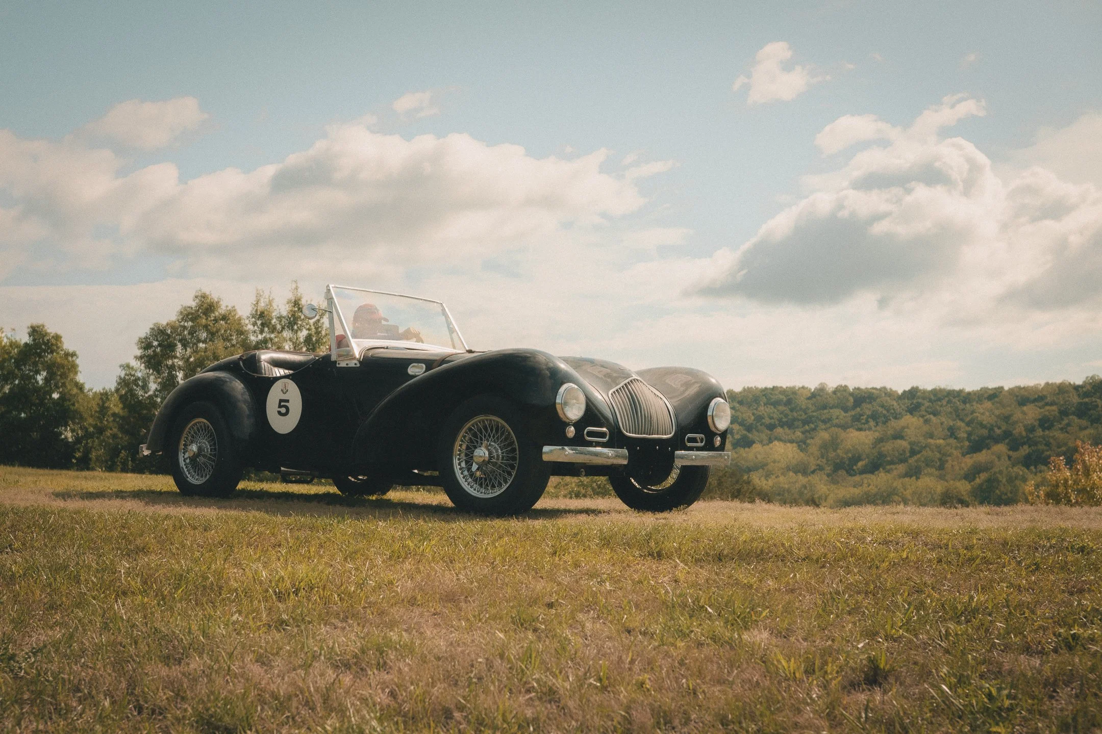 ALLARD-1.jpg