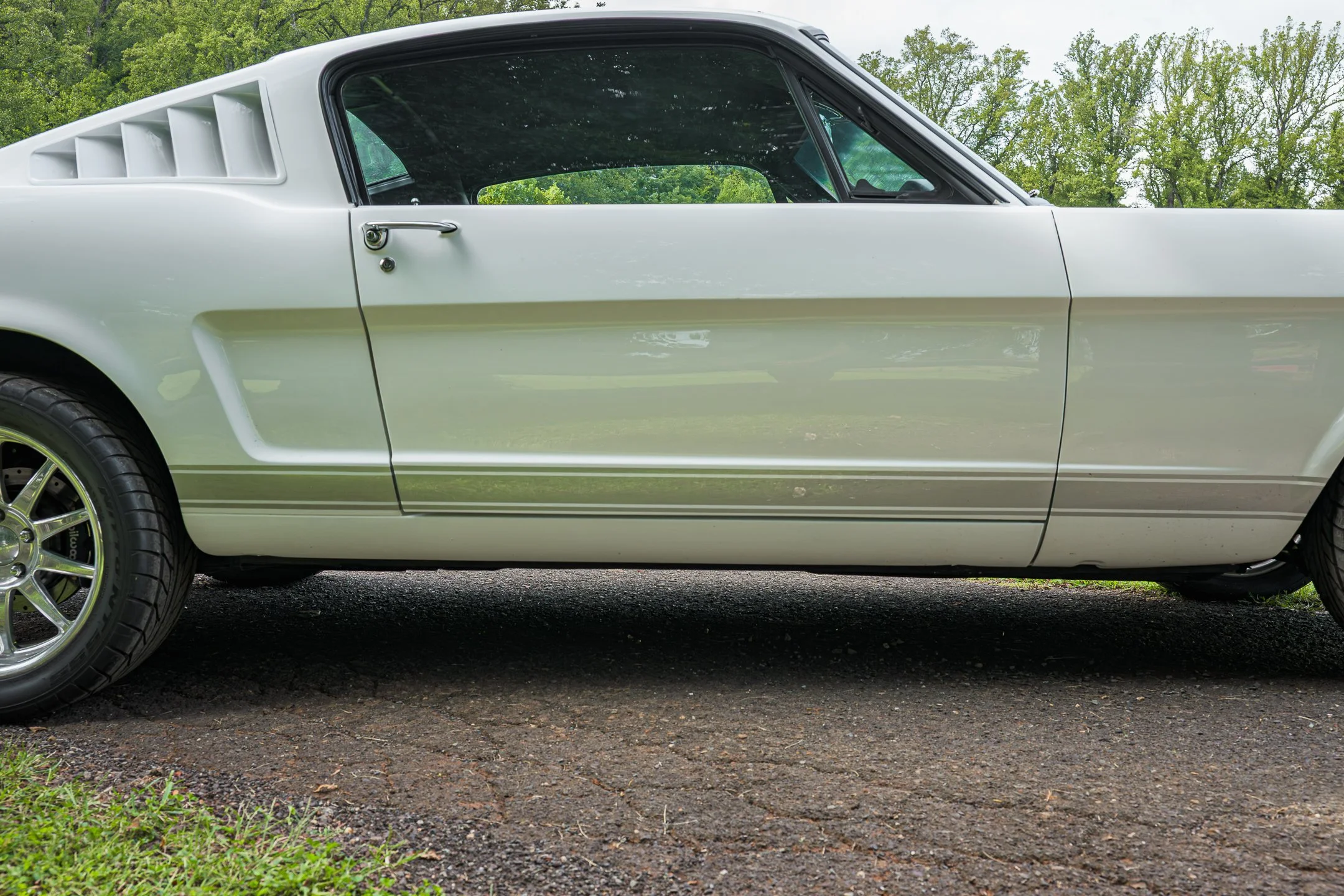 Mustang-36.jpg