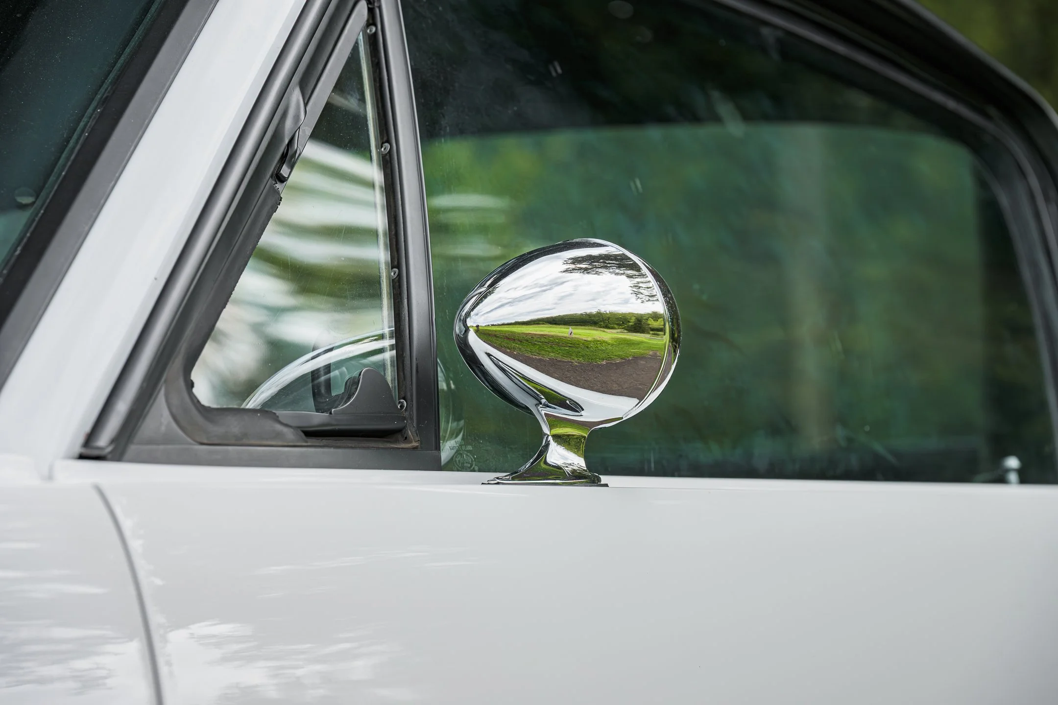 Mustang-40.jpg
