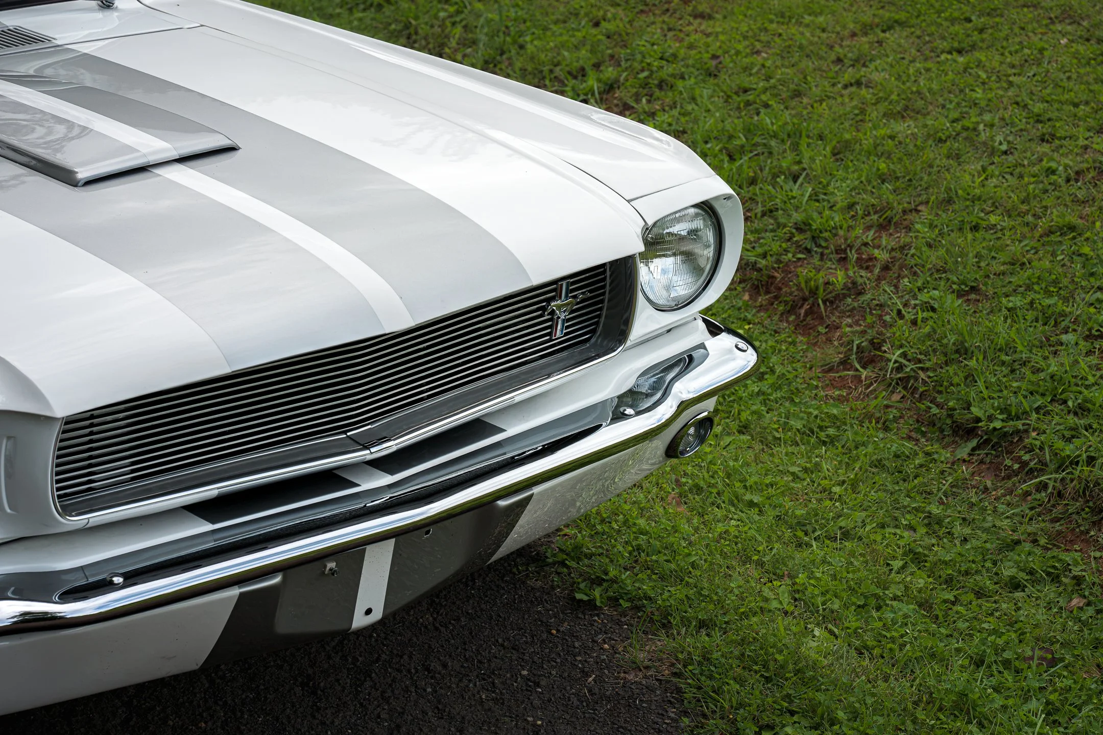 Mustang-8.jpg