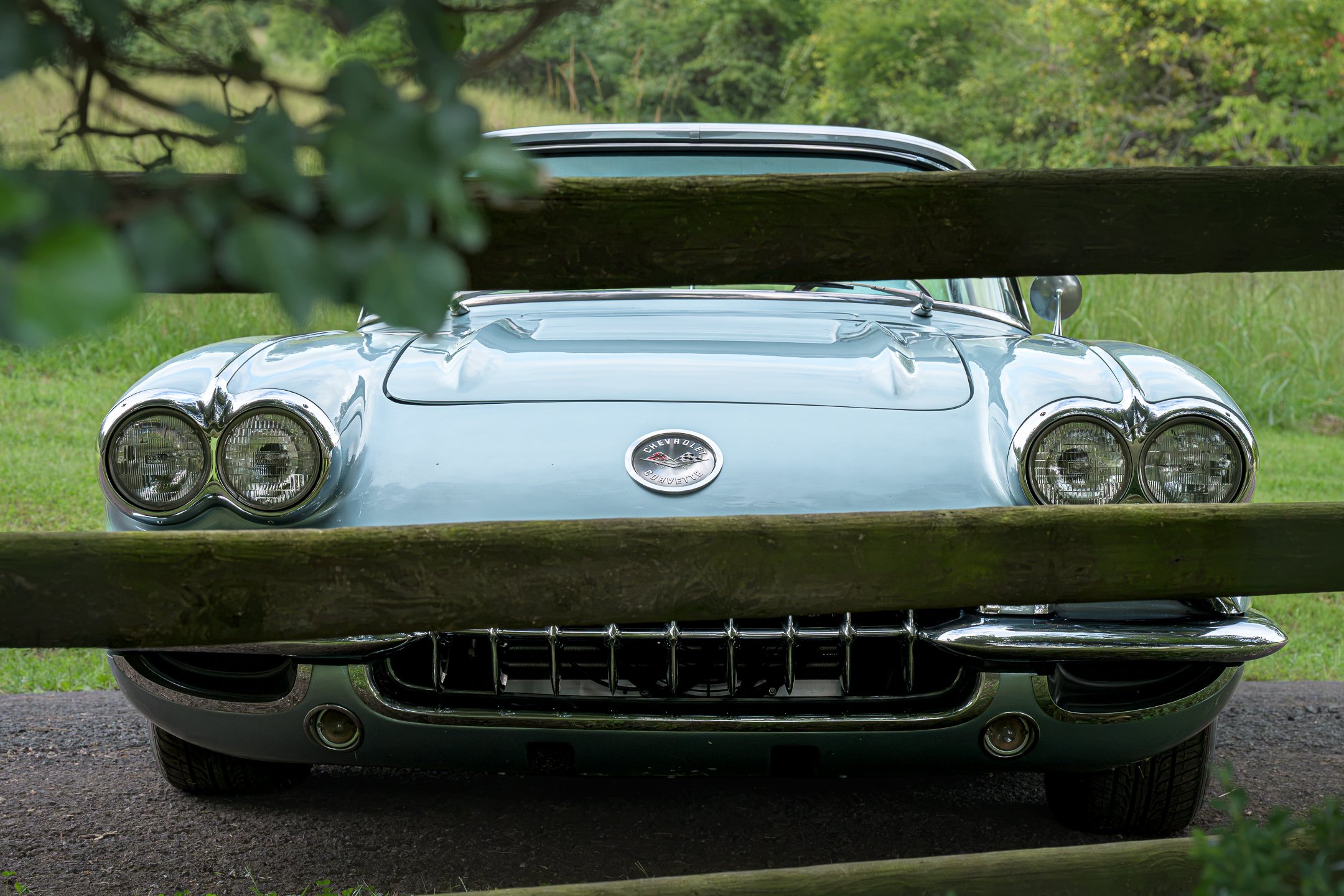 Vette-2.jpg