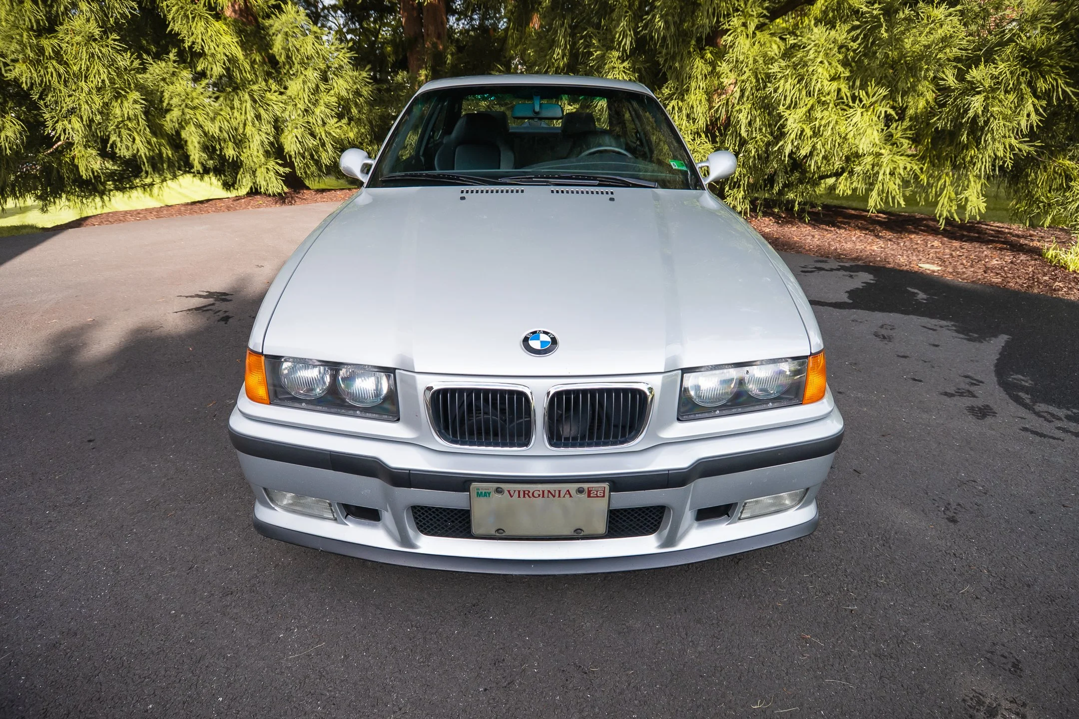 M3-15.jpg