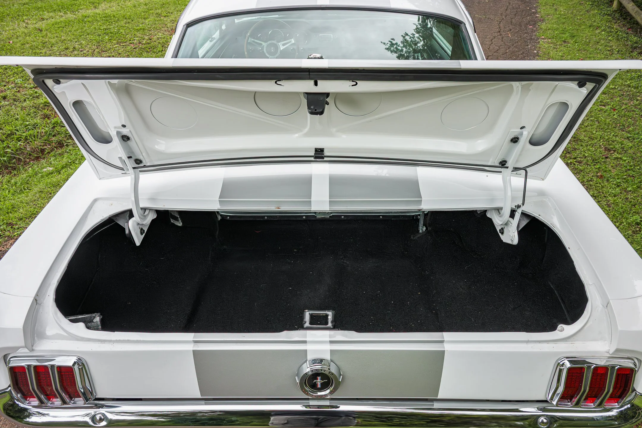 Mustang-93.jpg