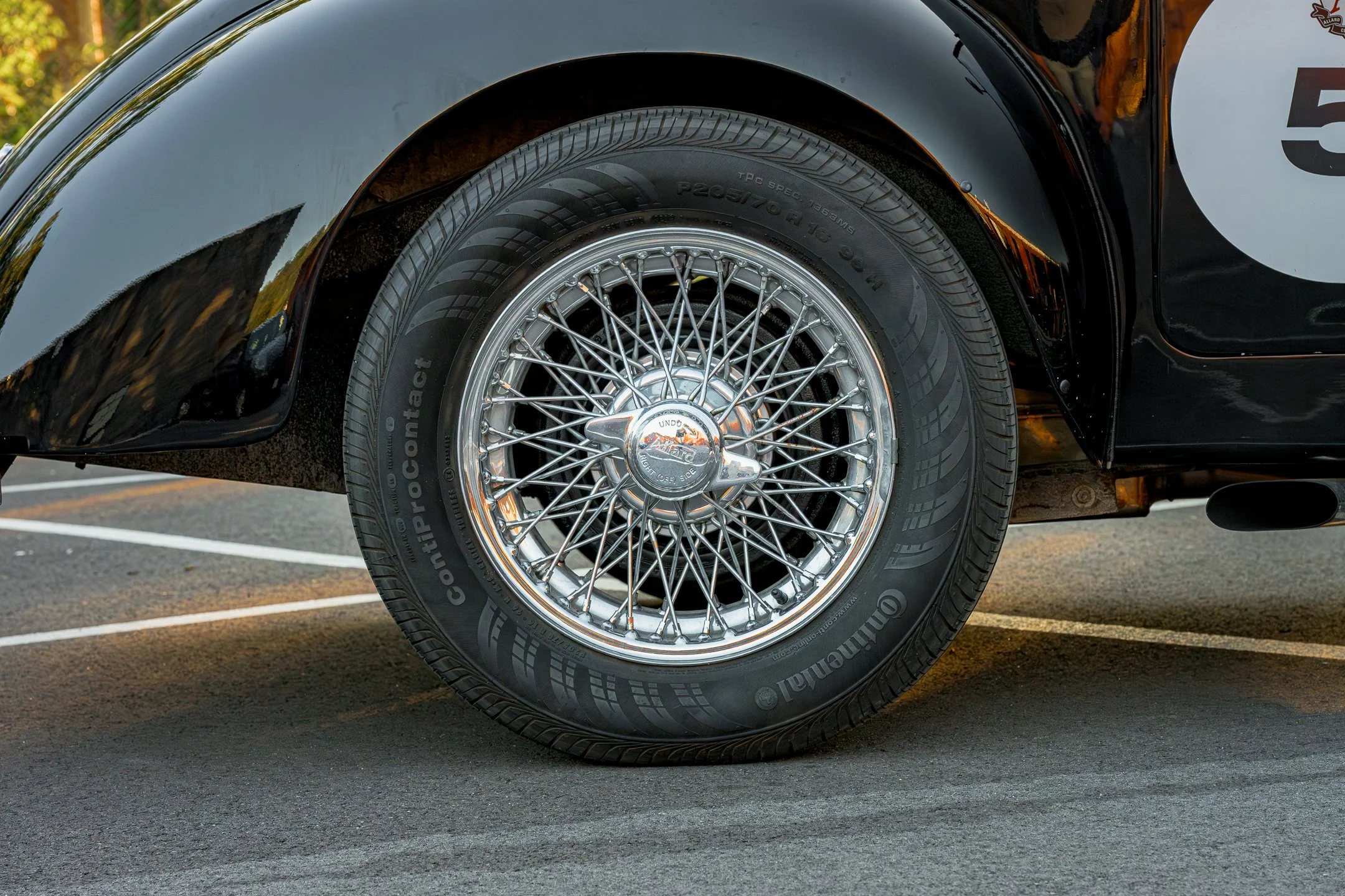 Allard2-37.jpg