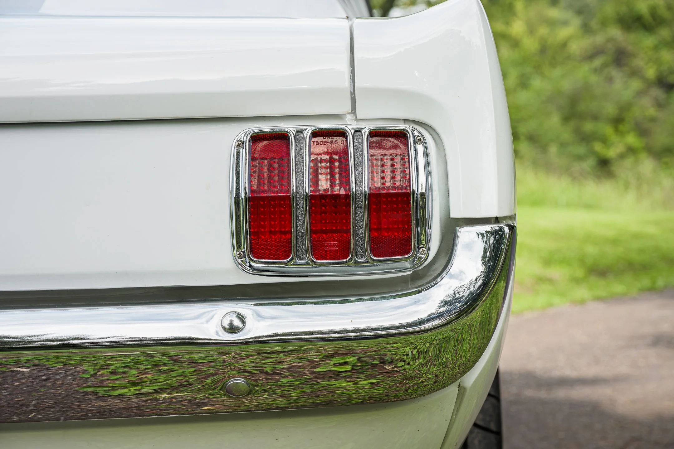 Mustang-45.jpg