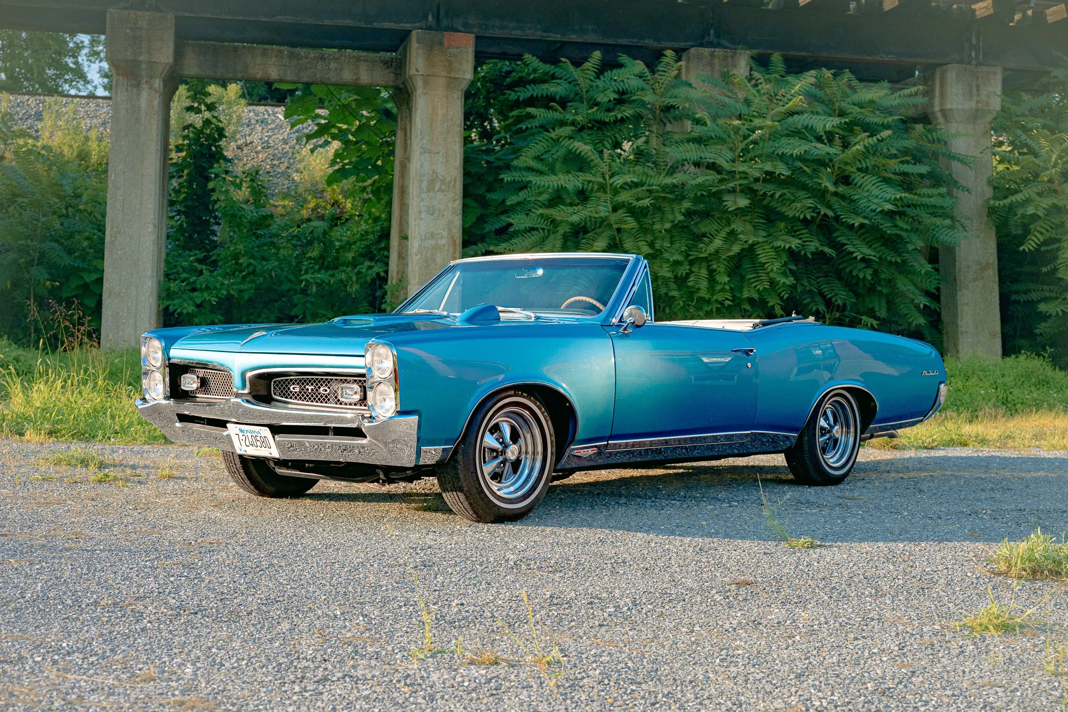 GTO-14.jpg