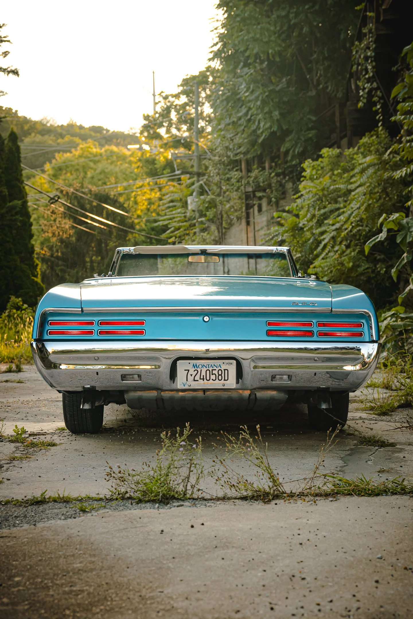 GTO-89.jpg