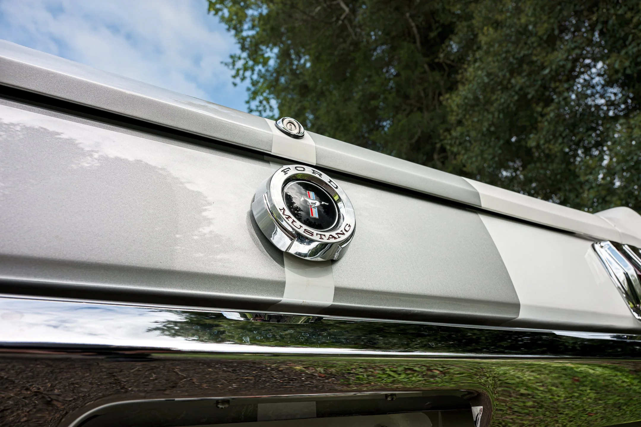 Mustang-7.jpg
