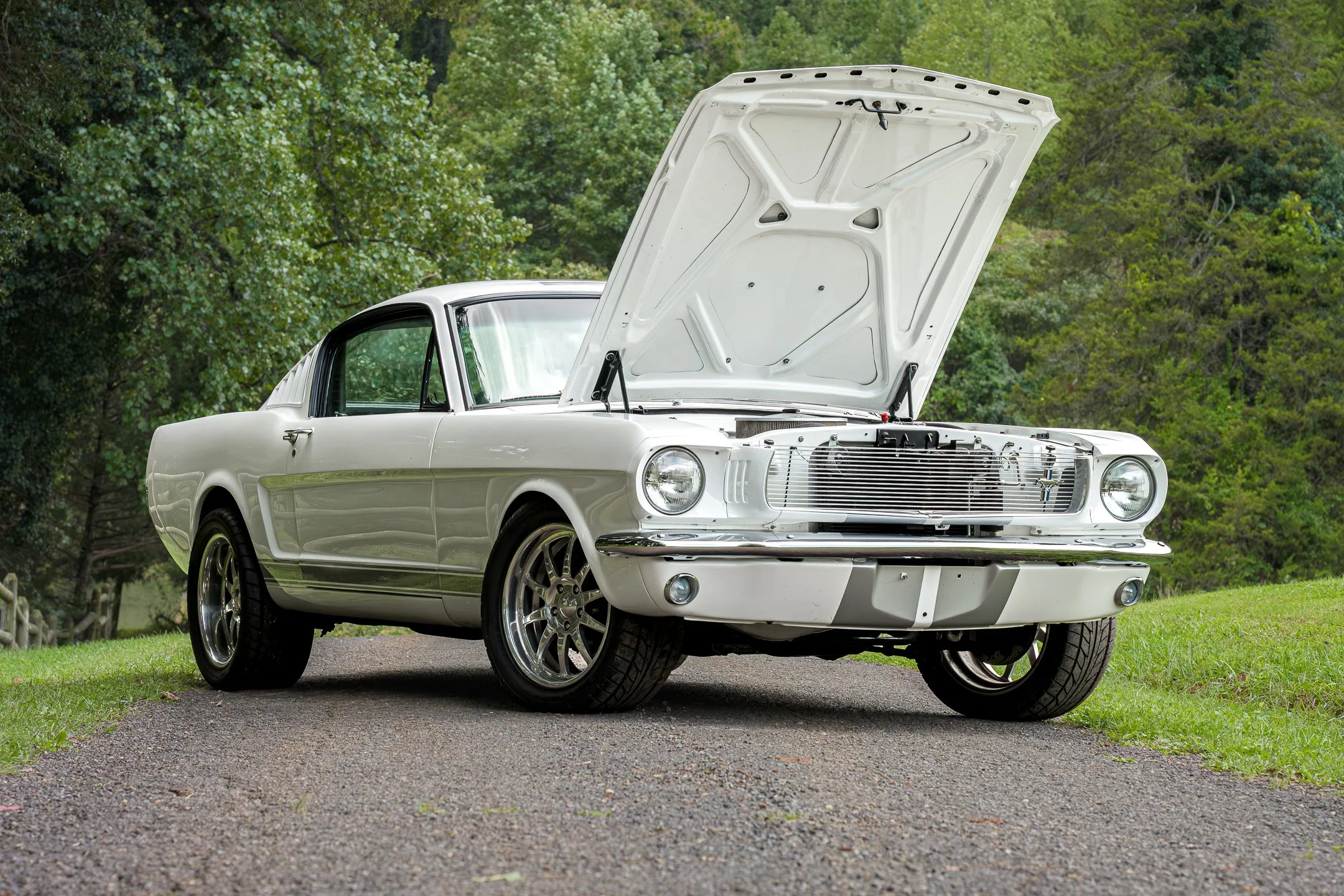 Mustang-54.jpg