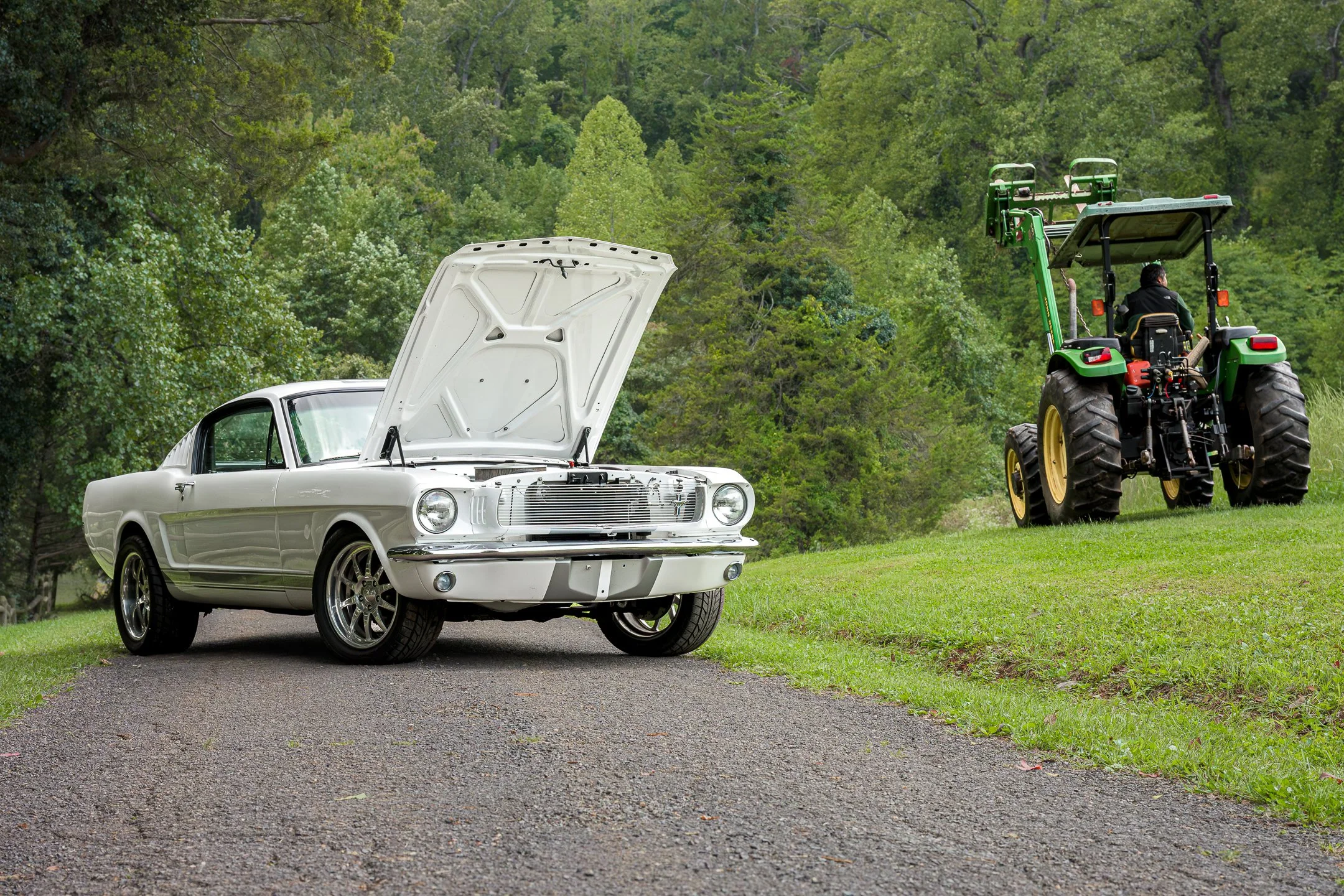 Mustang-4.jpg