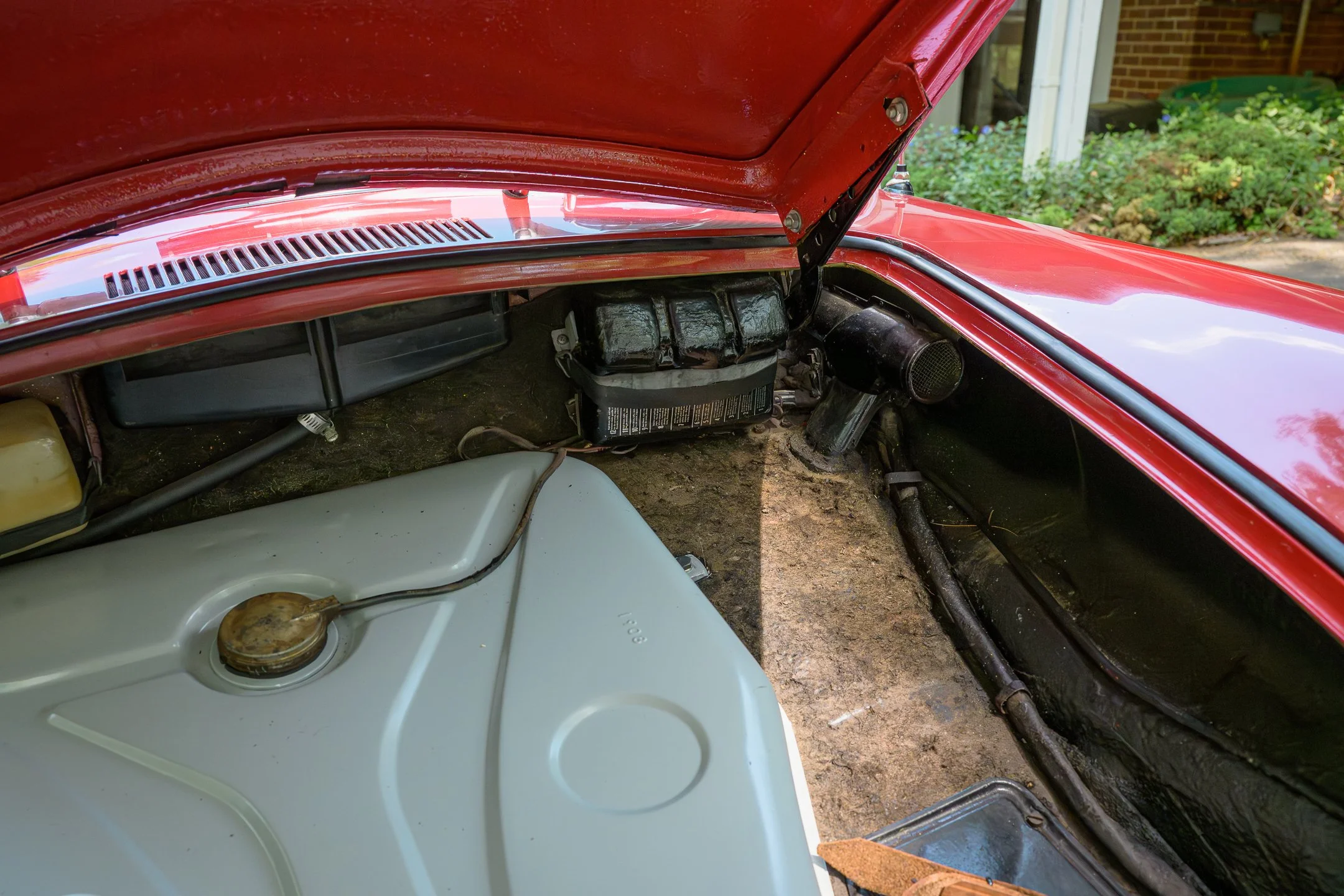 356-109.jpg