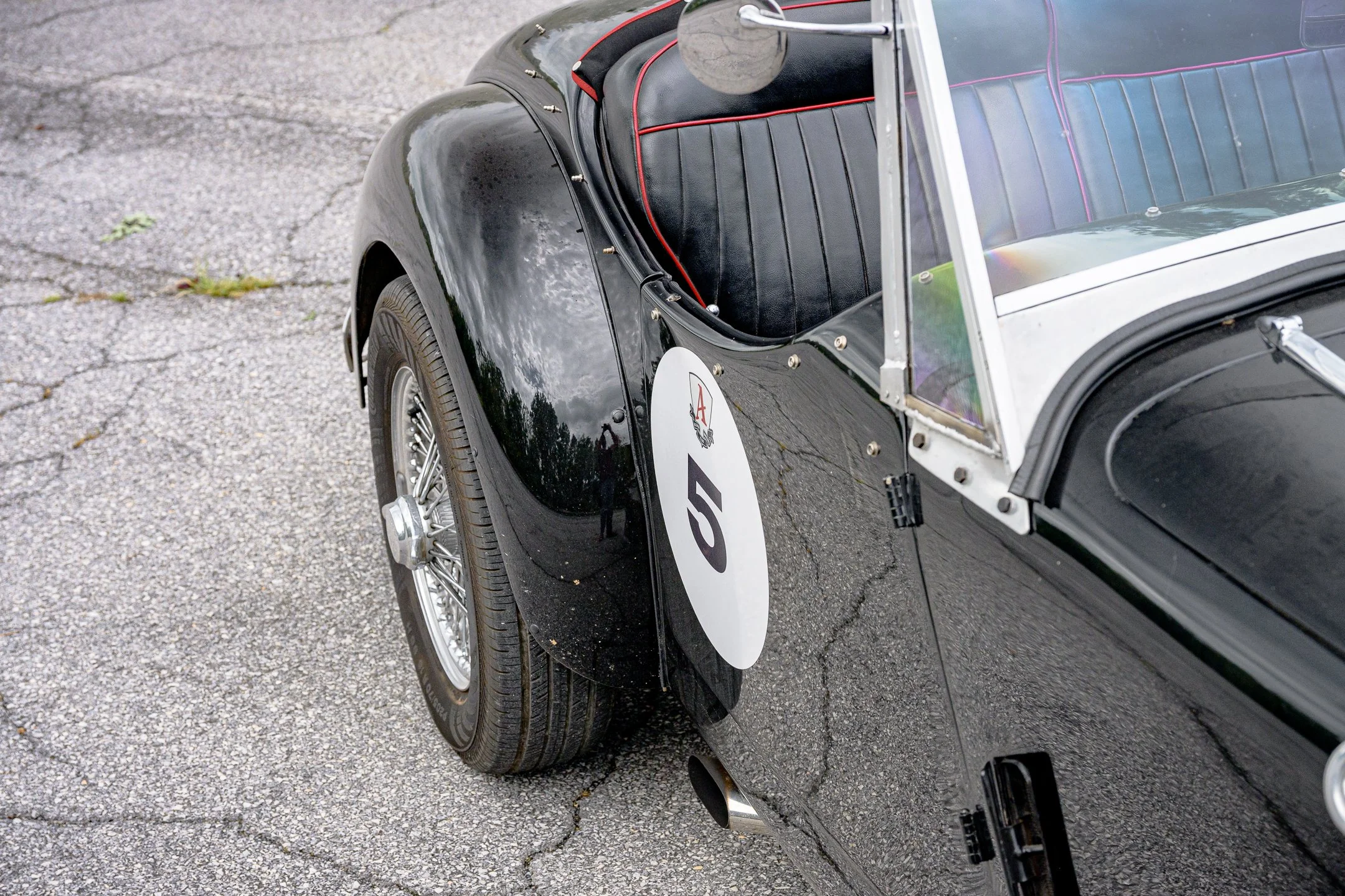 ALLARD-19.jpg