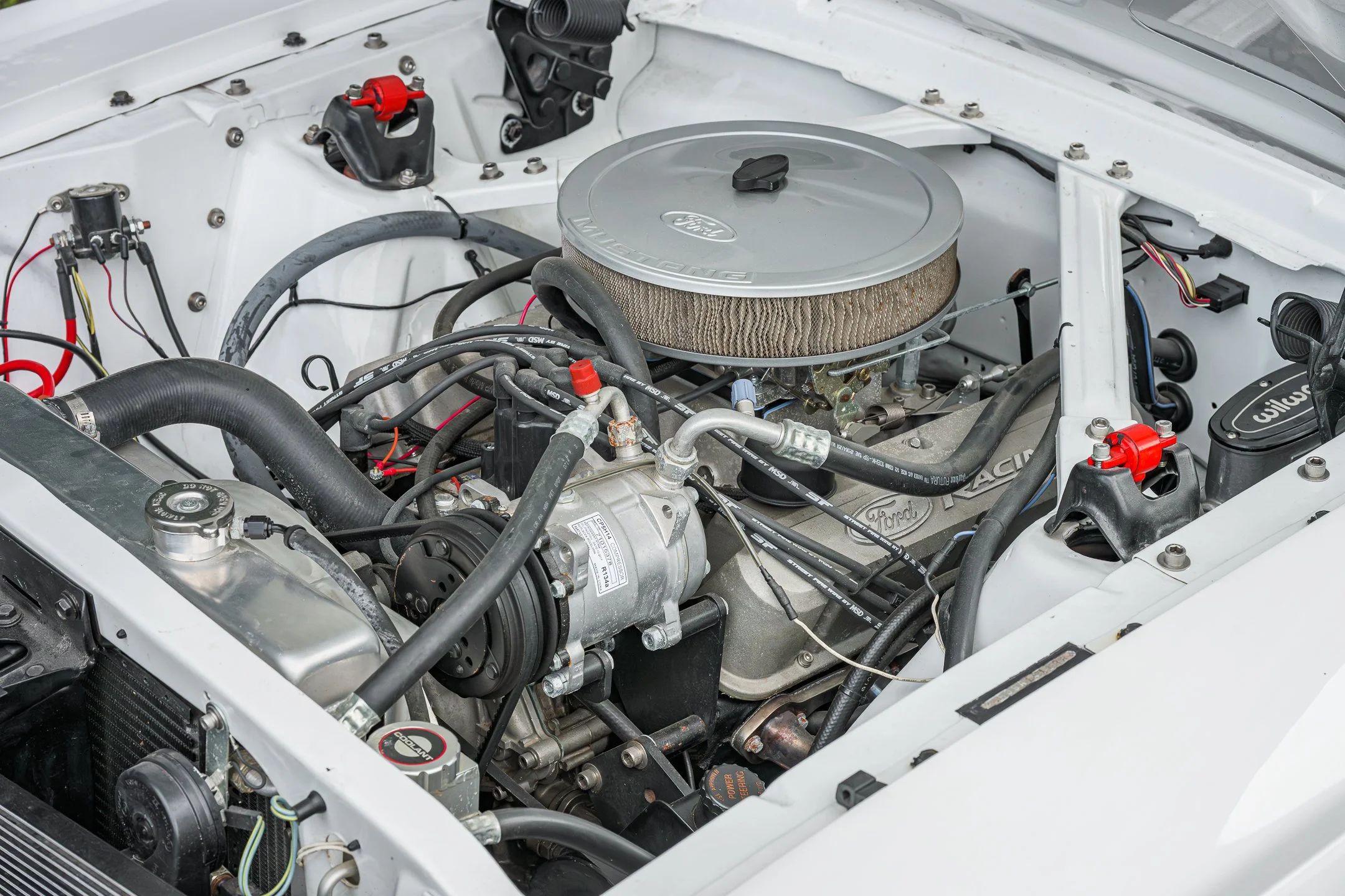 Mustang-57.jpg