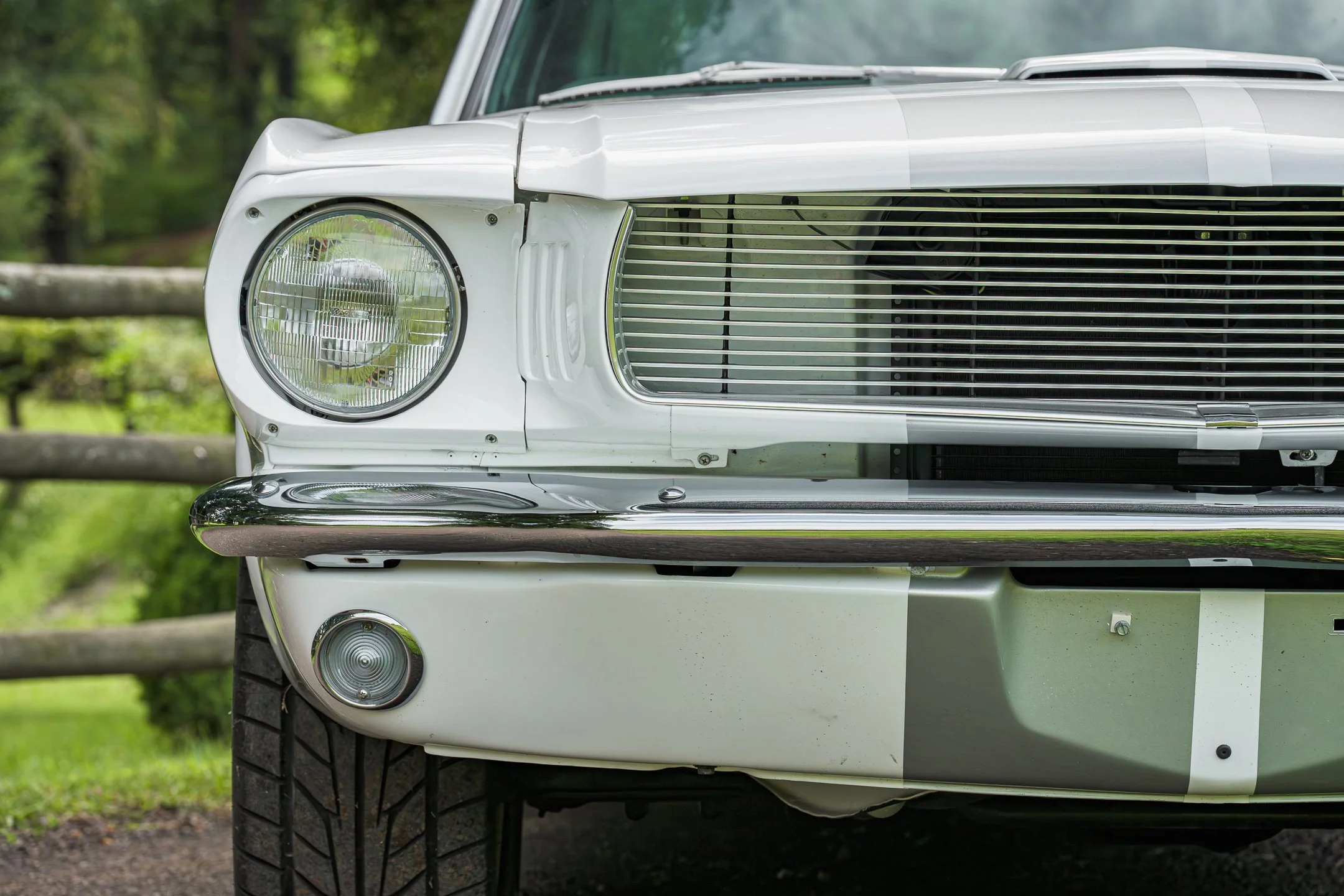 Mustang-26.jpg
