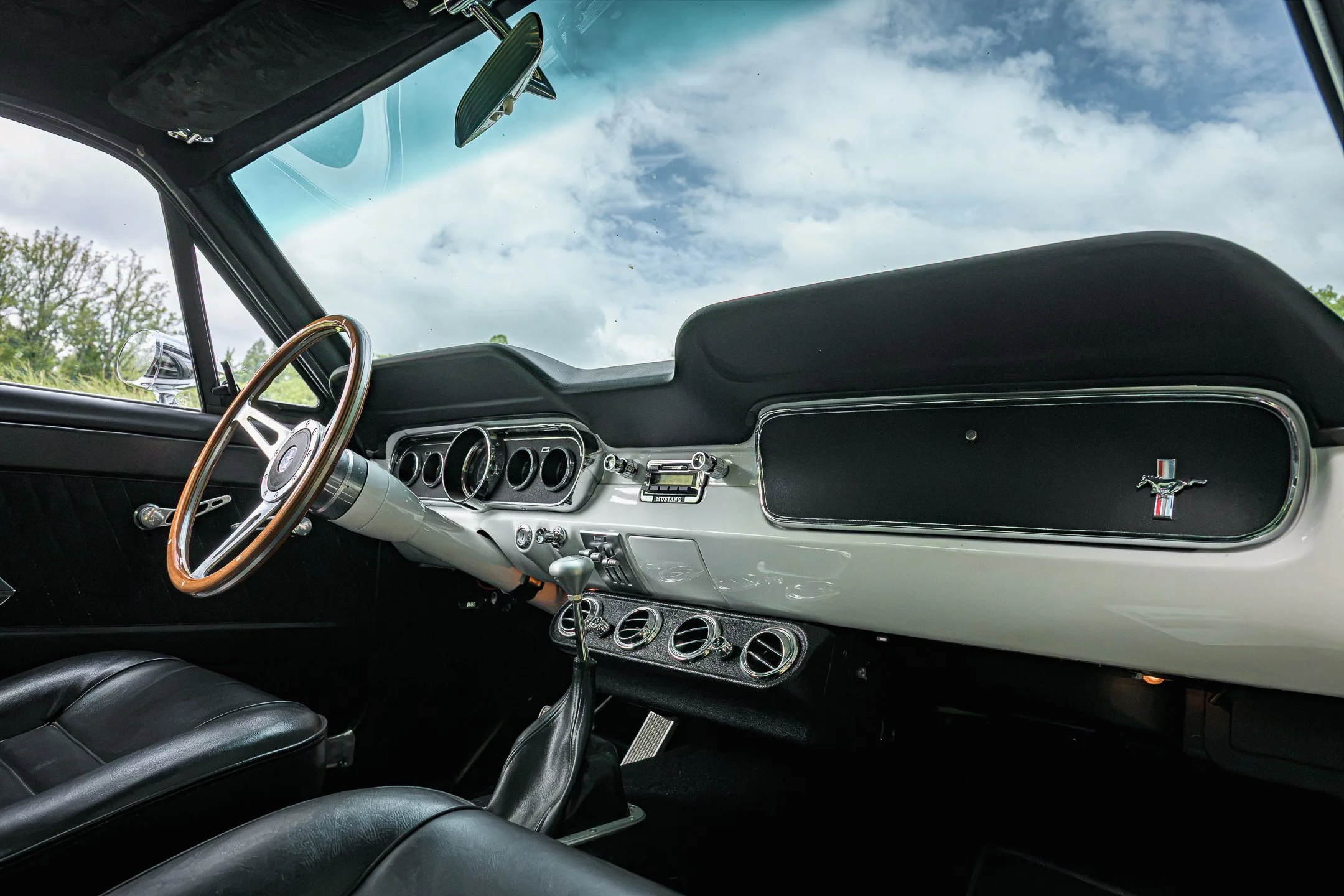 Mustang-3.jpg