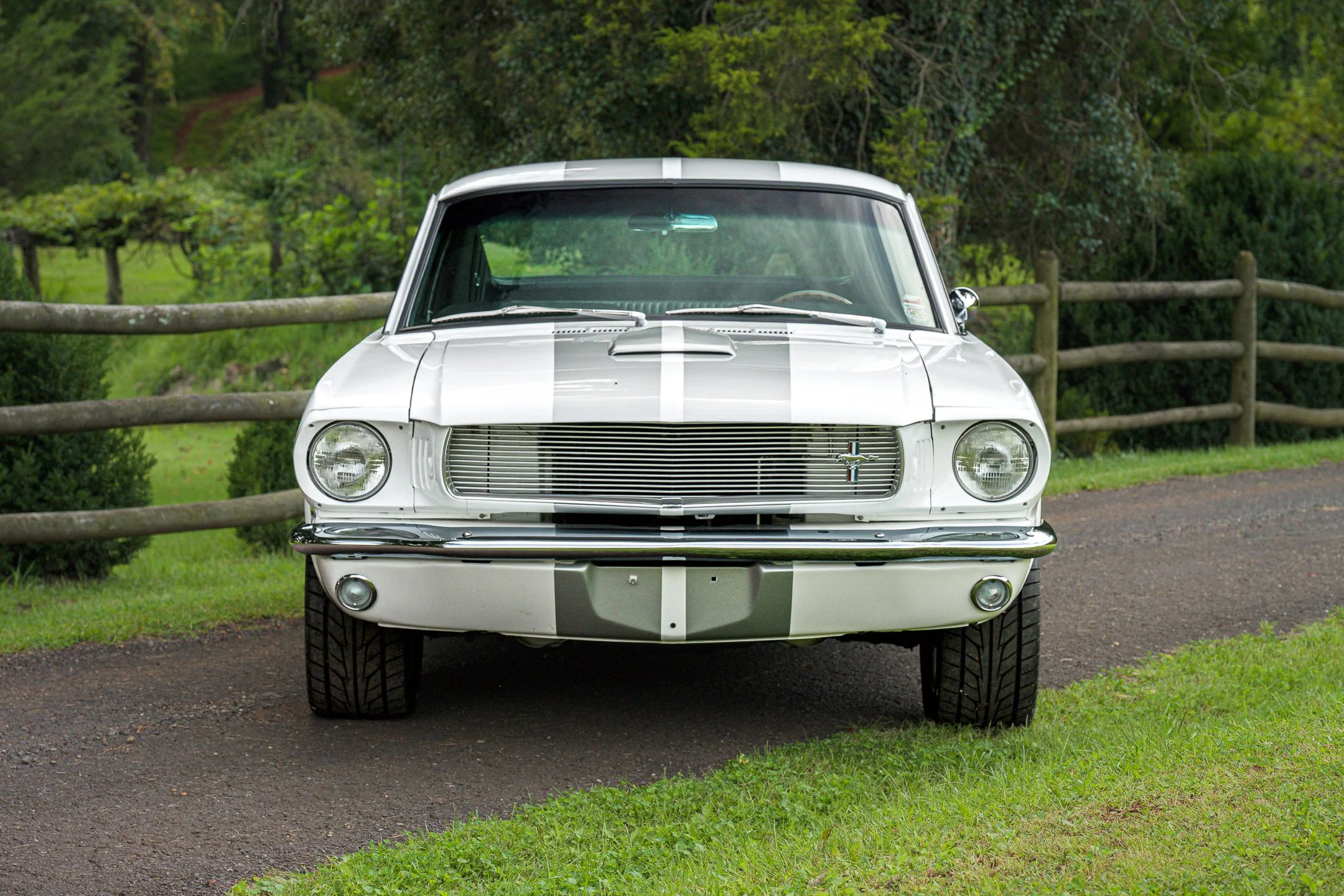 Mustang-13.jpg