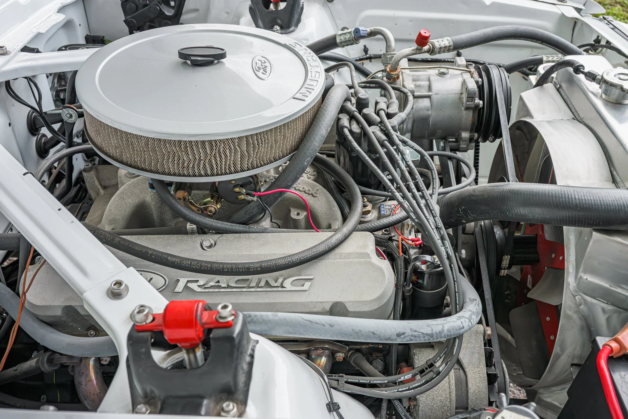 Mustang-58.jpg