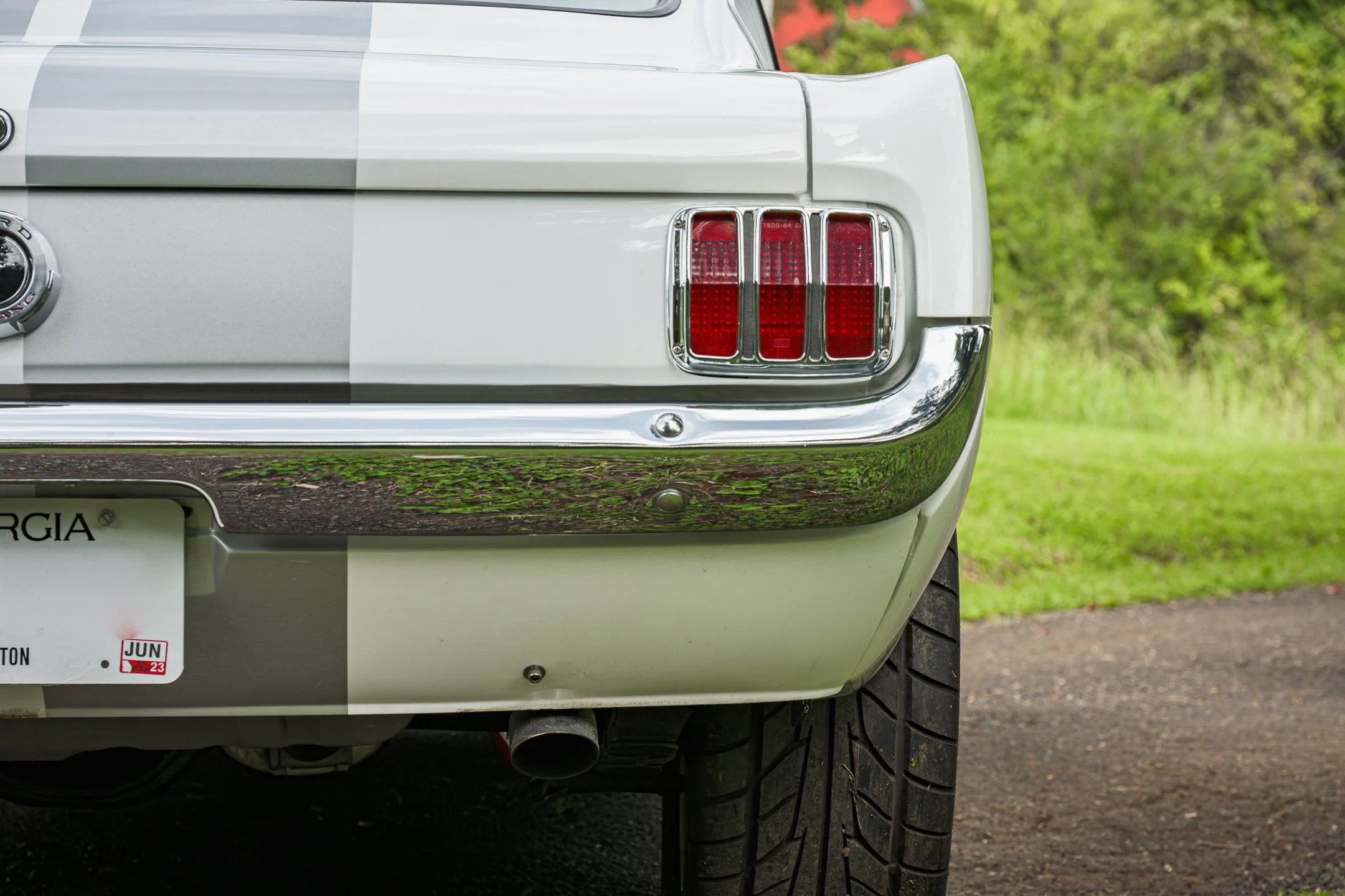 Mustang-31.jpg